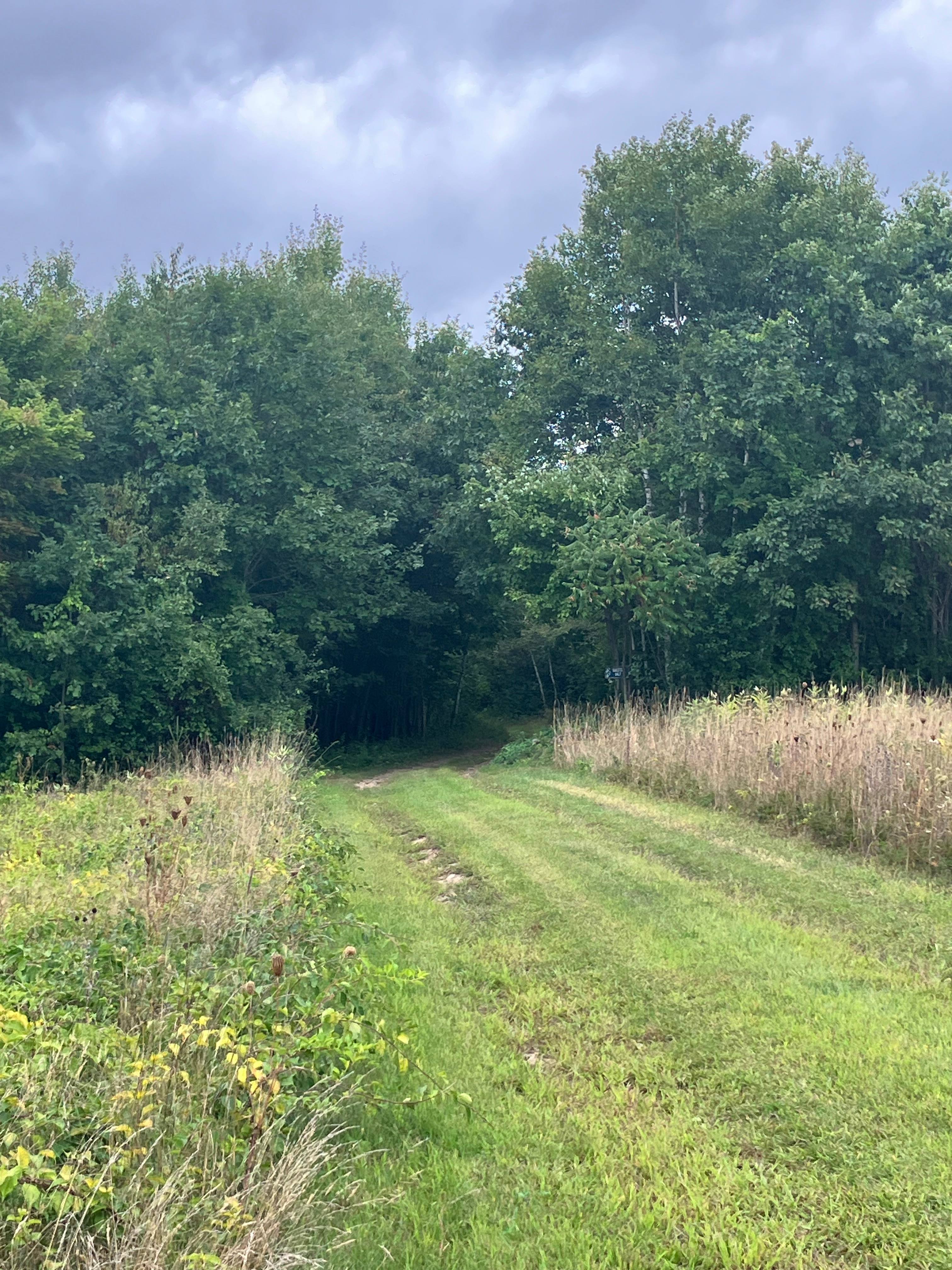 This begins the complete seclusion portion of the farm!