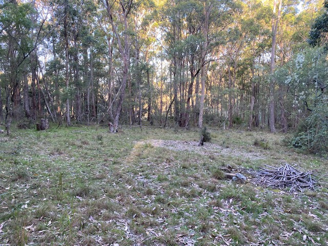 Peaceful Sunny Ridge Farm