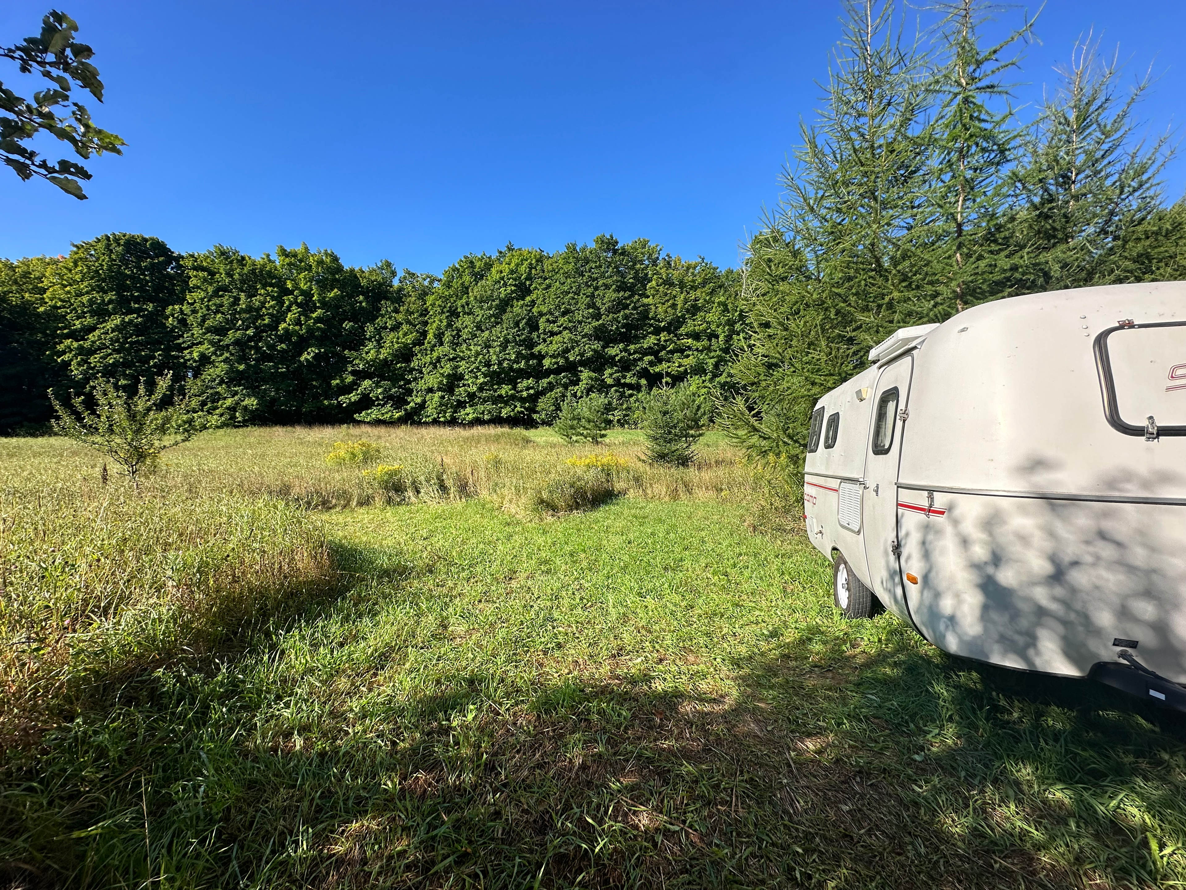 Loved waking up and having a view of the meadow 🌾