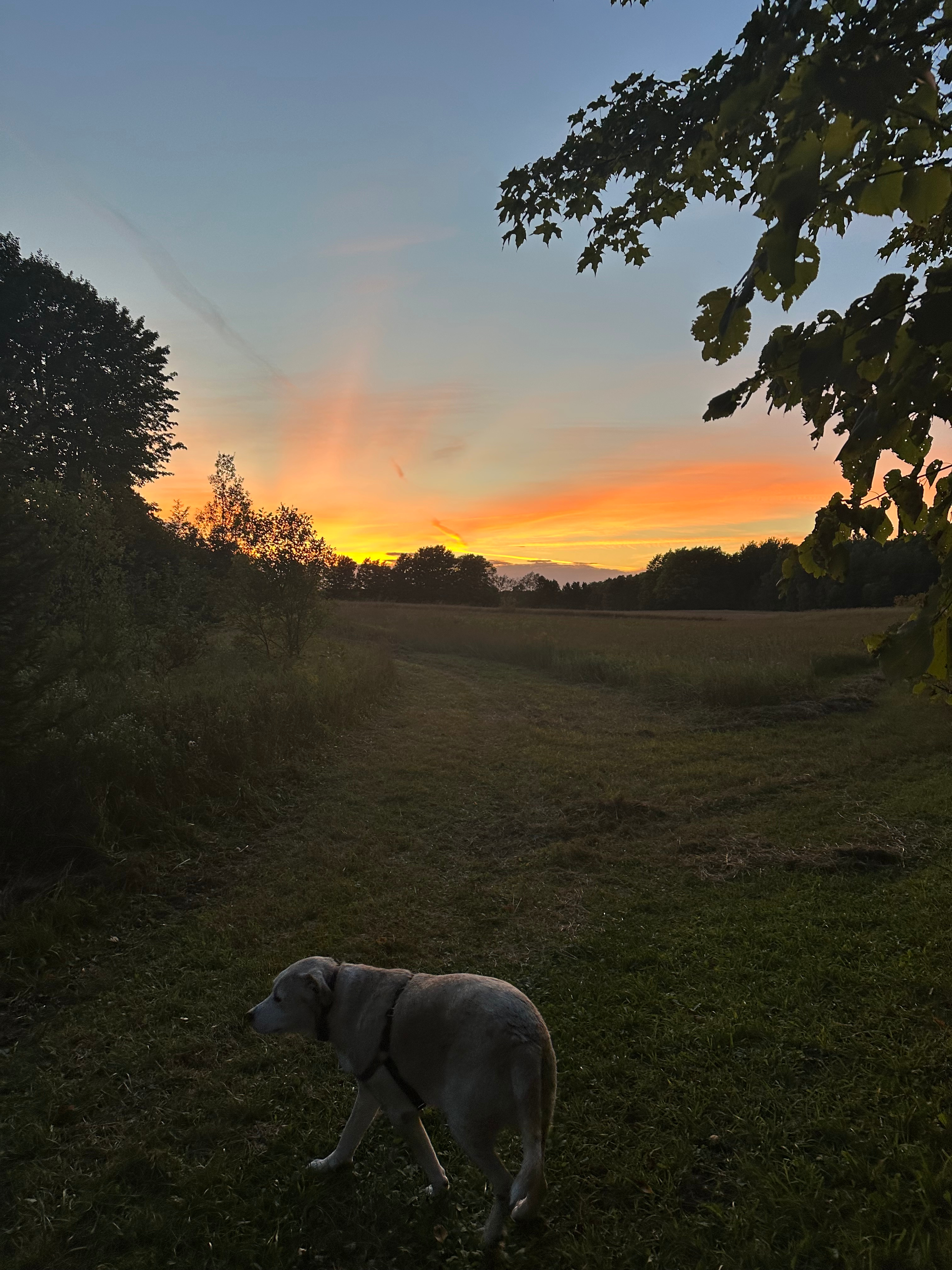 Sunset around our campsite! 