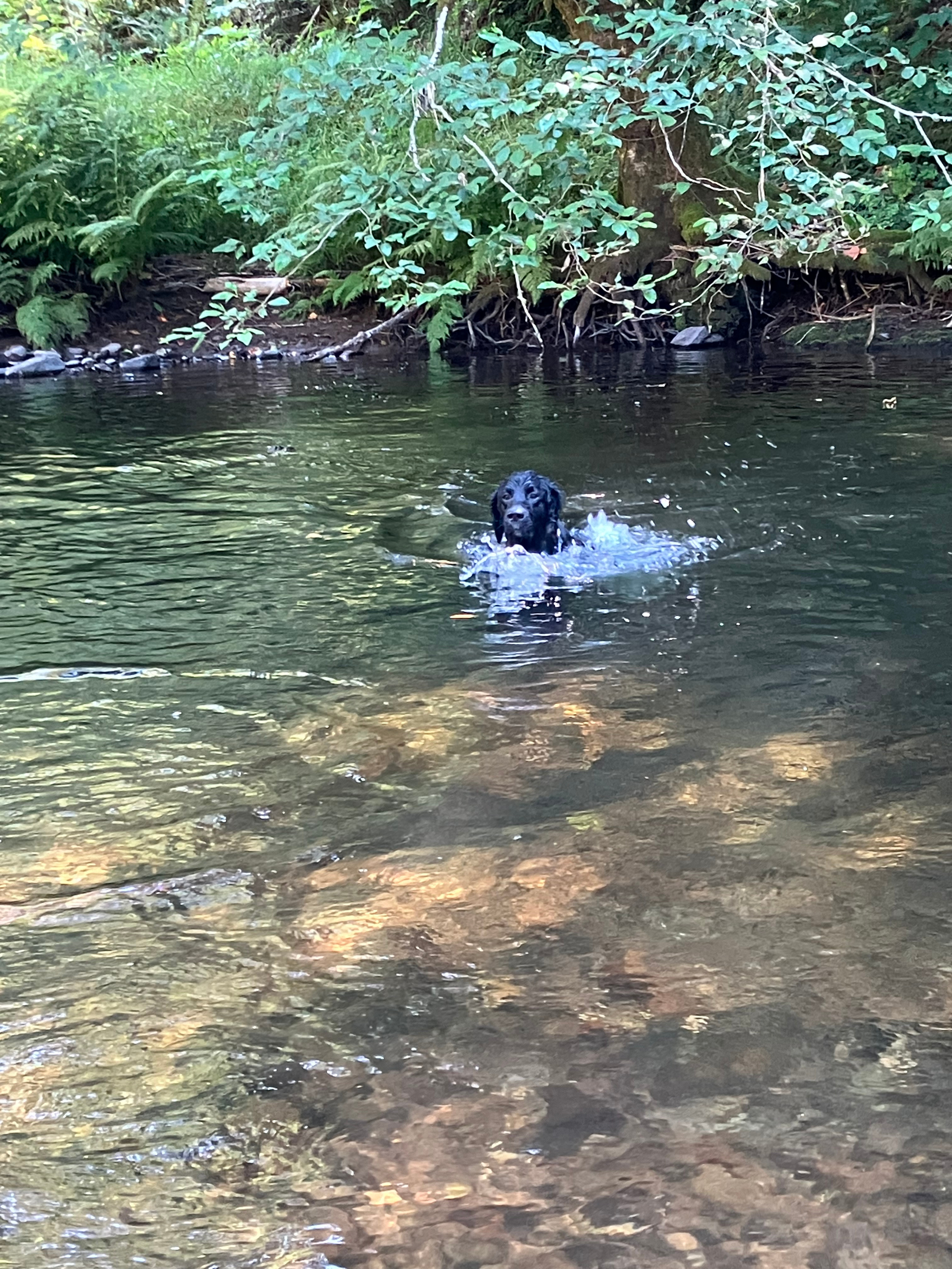 Keesee River Property