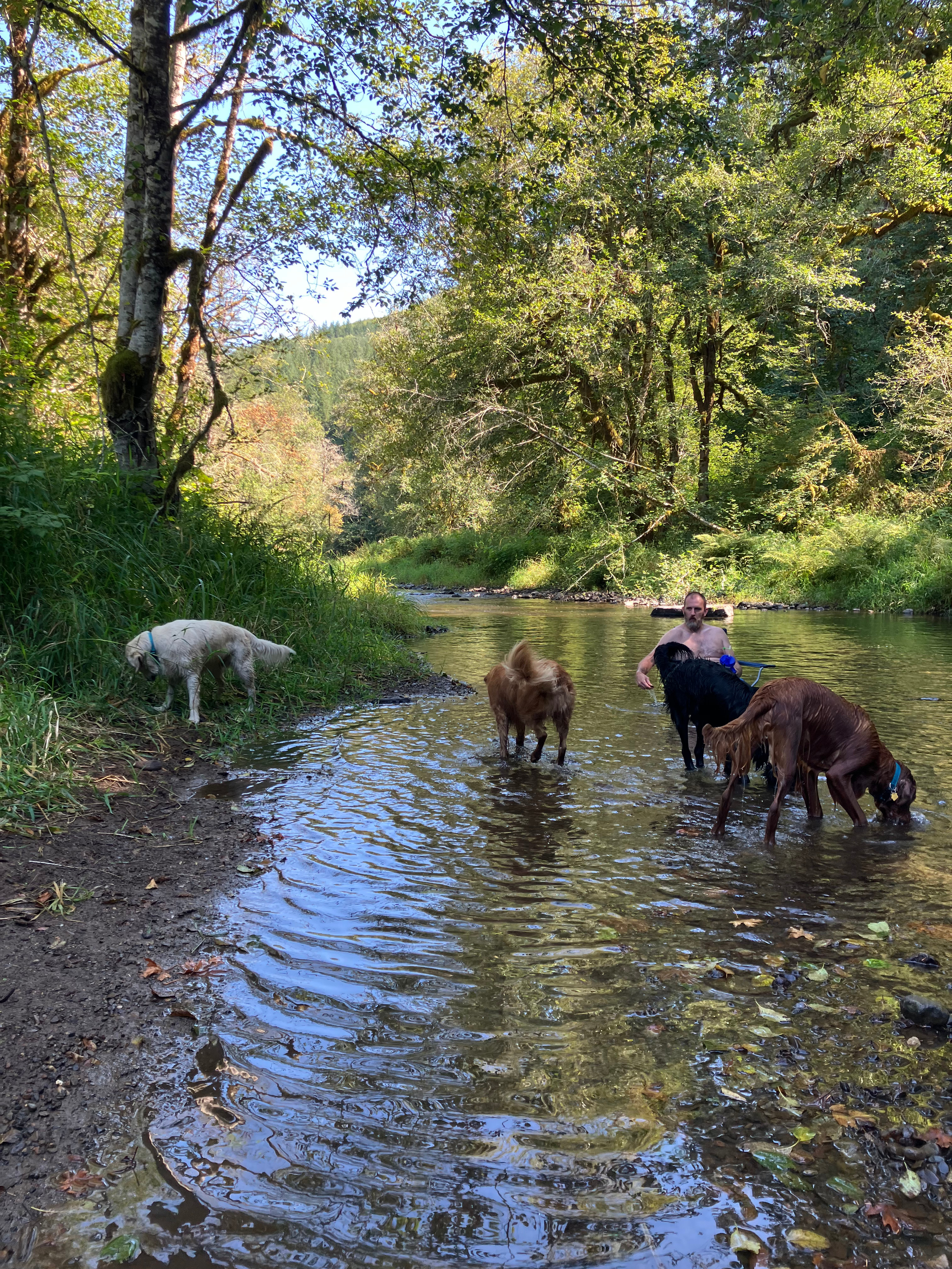 Keesee River Property