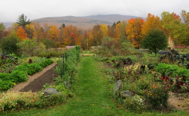 Metta Earth Farm Stay