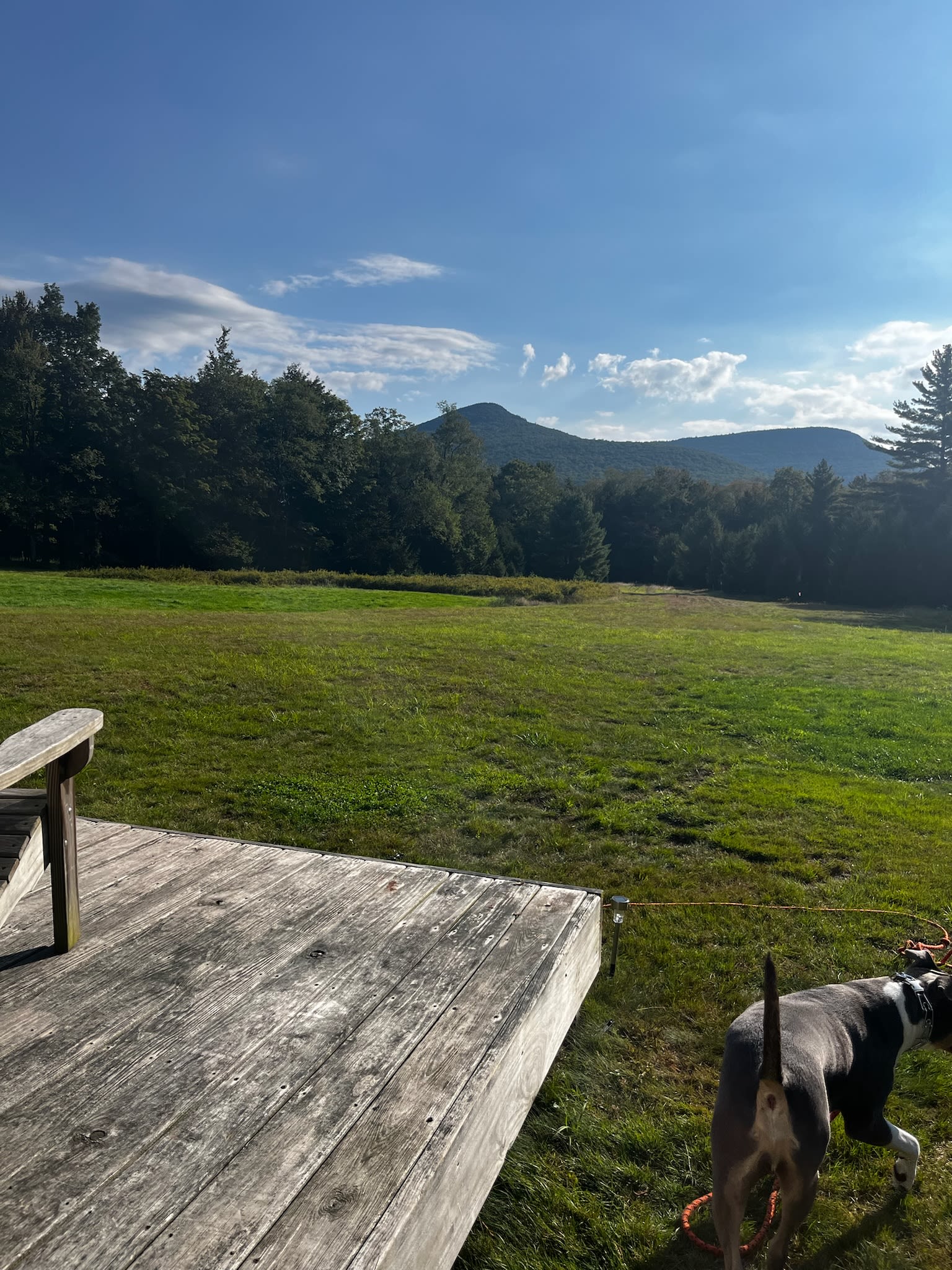 High Peak Meadows
