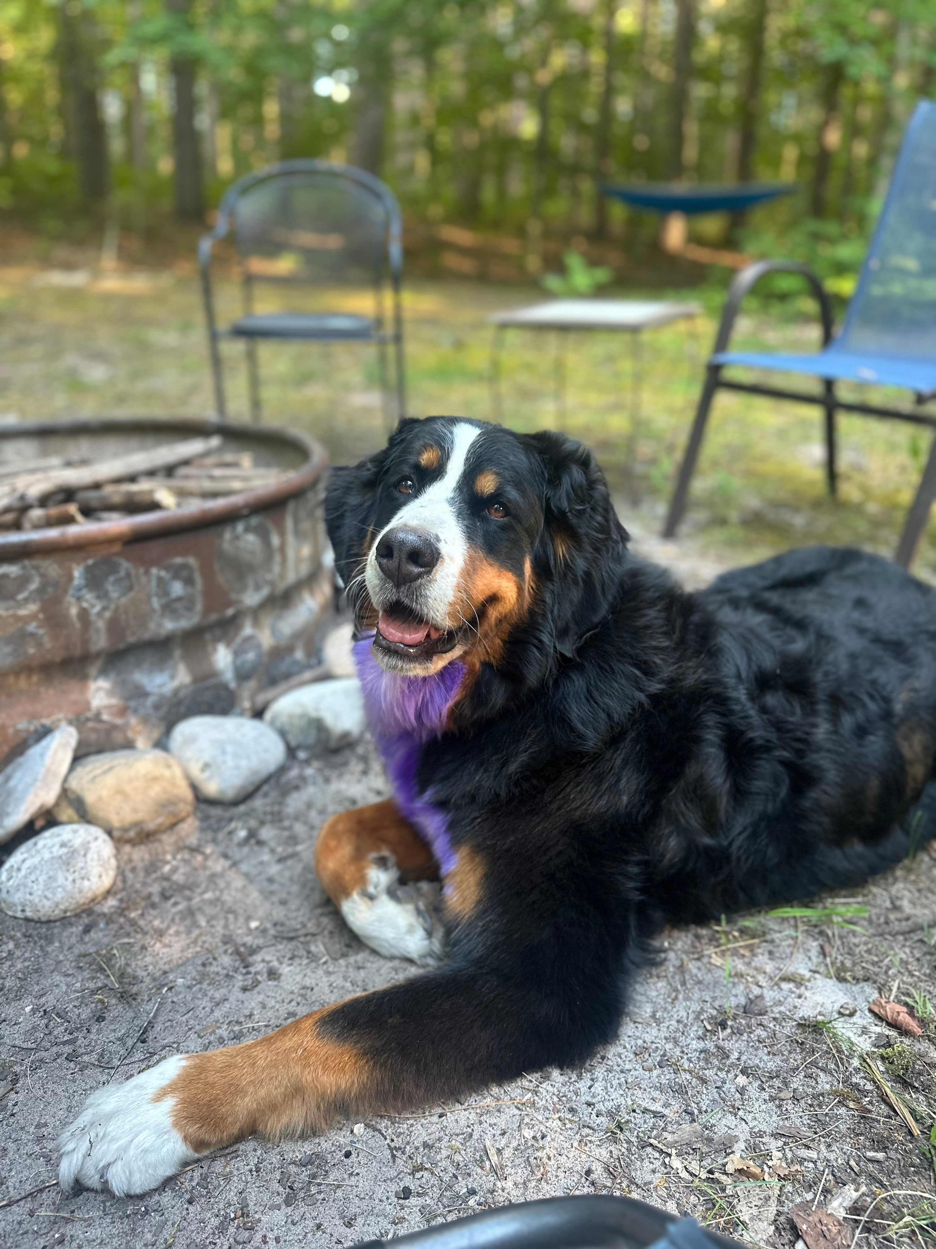 Bunkhouse in the Pines