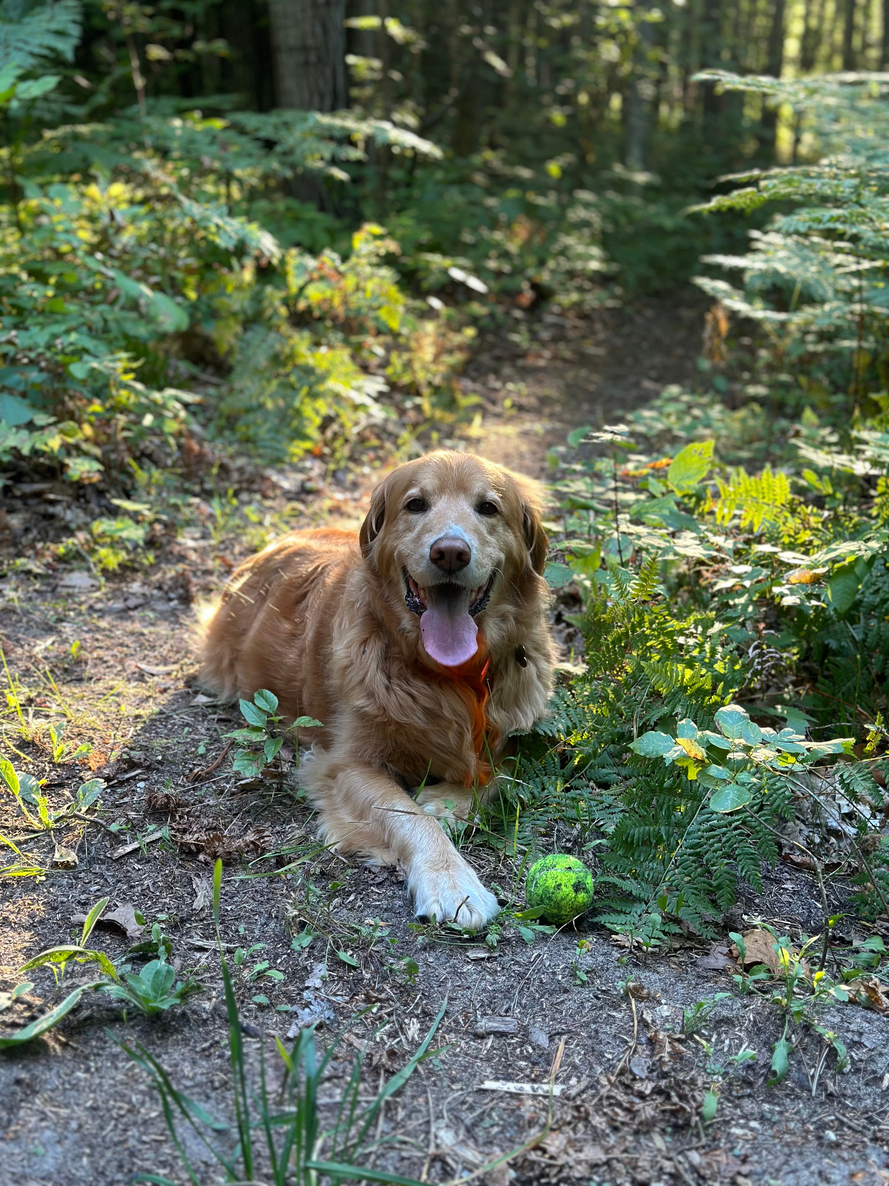 Bunkhouse in the Pines