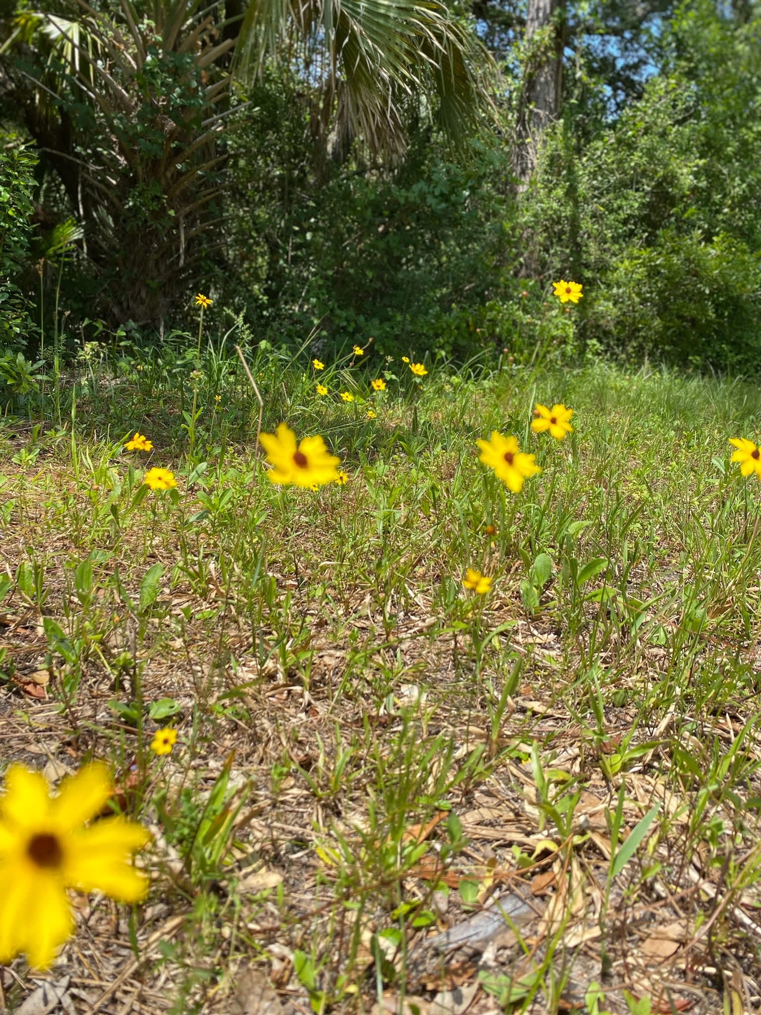 Valhalla Prairie Farm