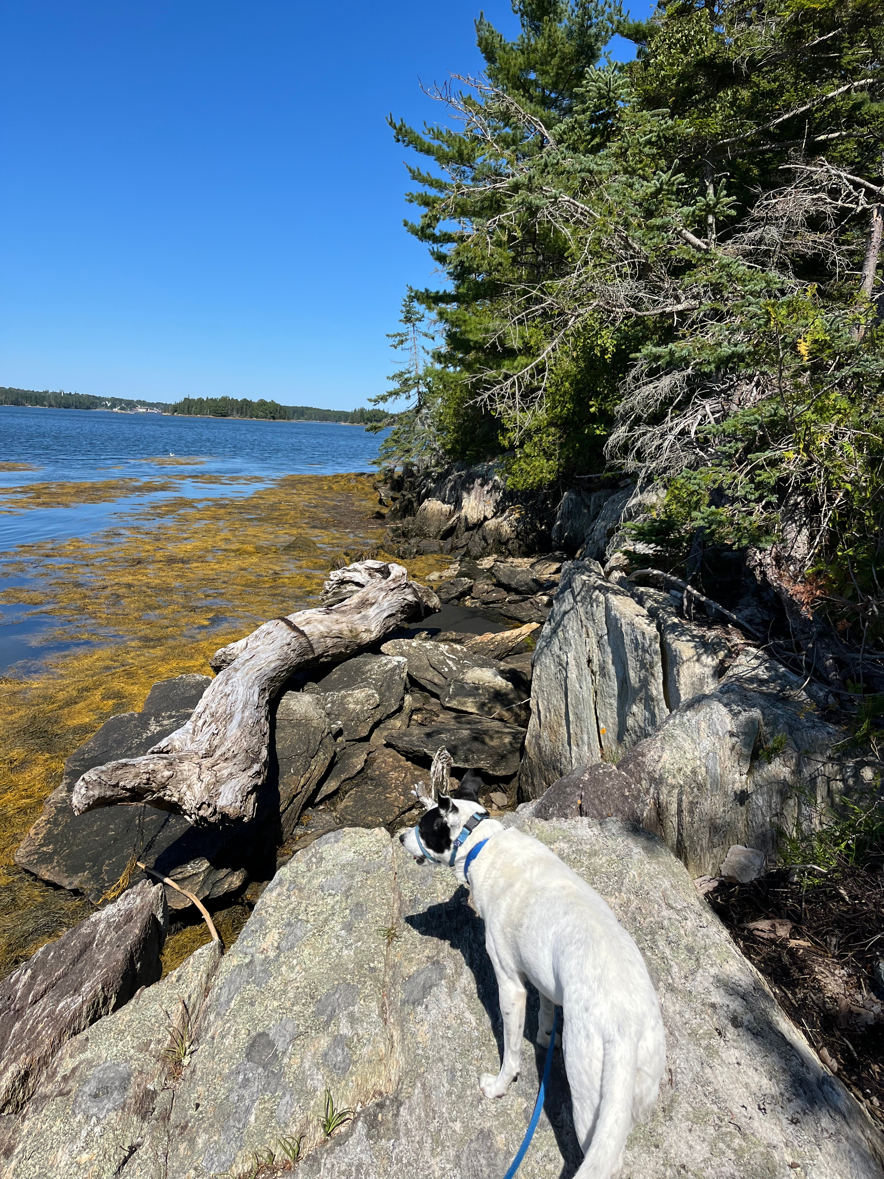 Harborside Eco-Cabin