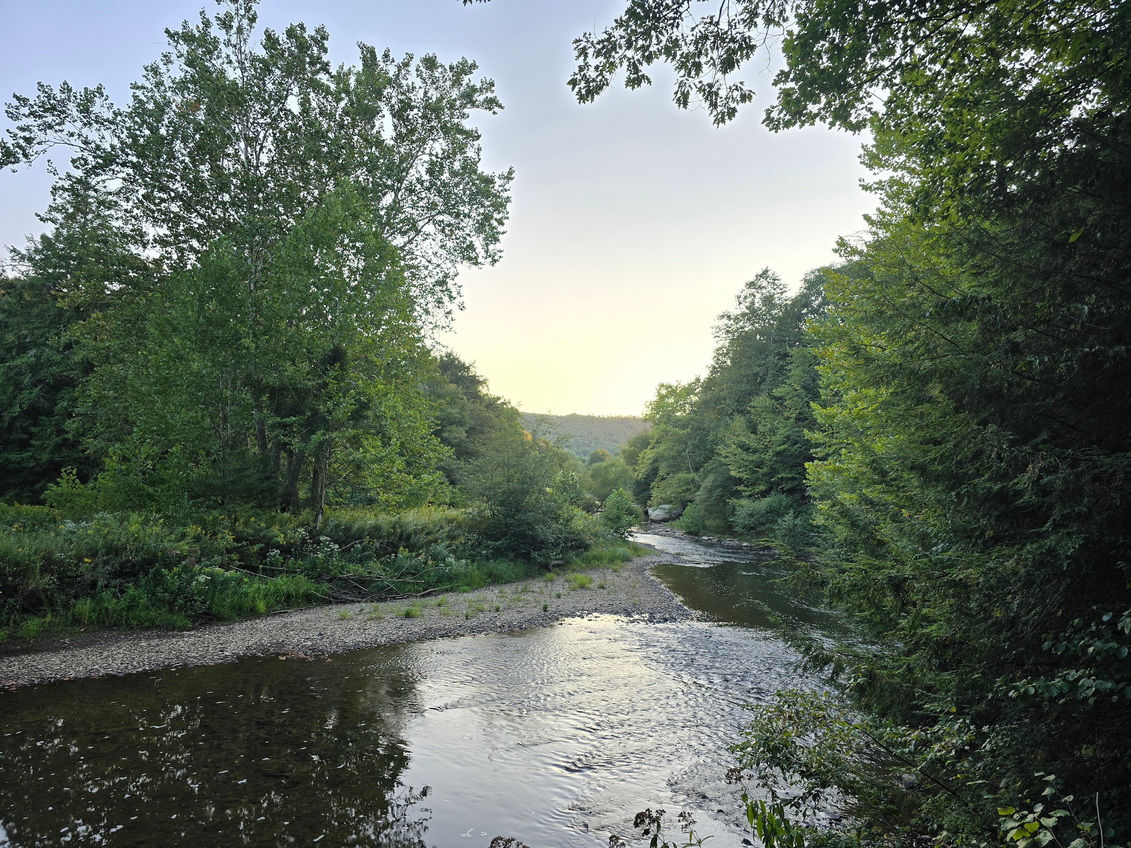 The Nest - Creekfront Cabin In ANF