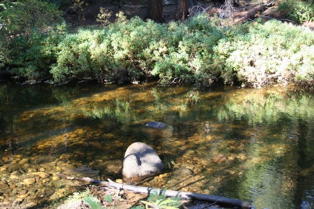 Gumboot Placer Gold Claim