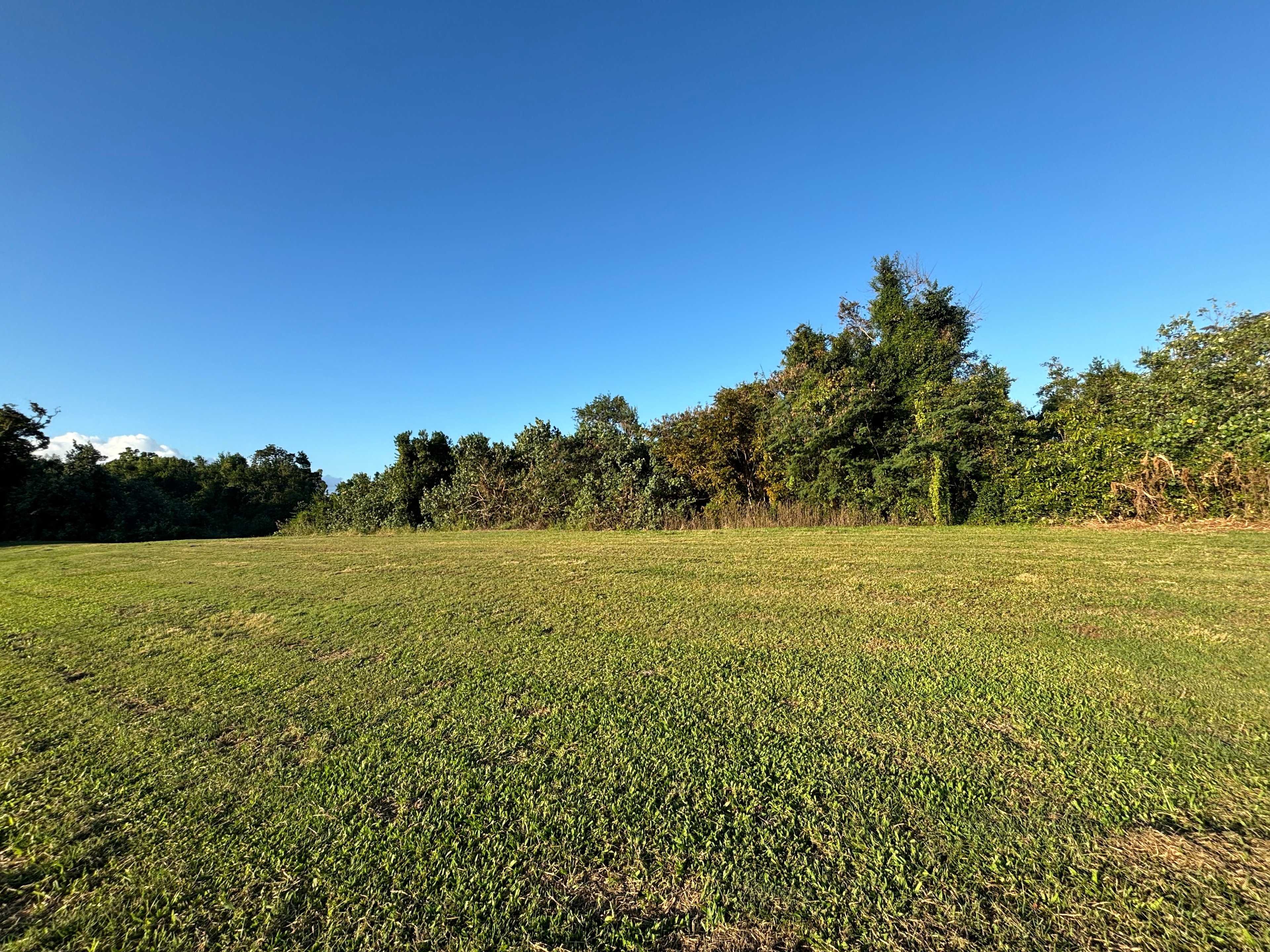 Hinchinbrook View