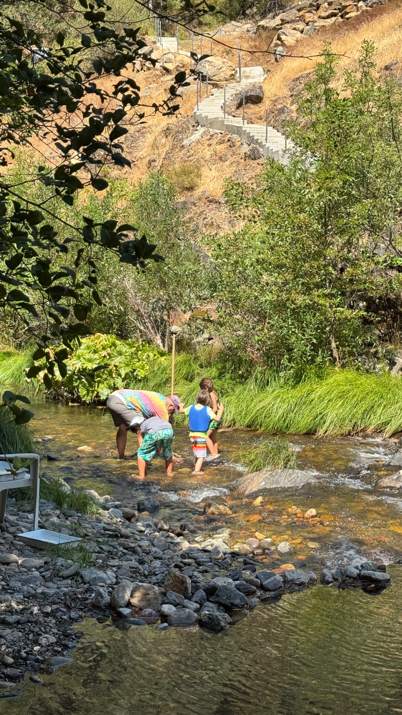 Strange Ranch - River and Gold