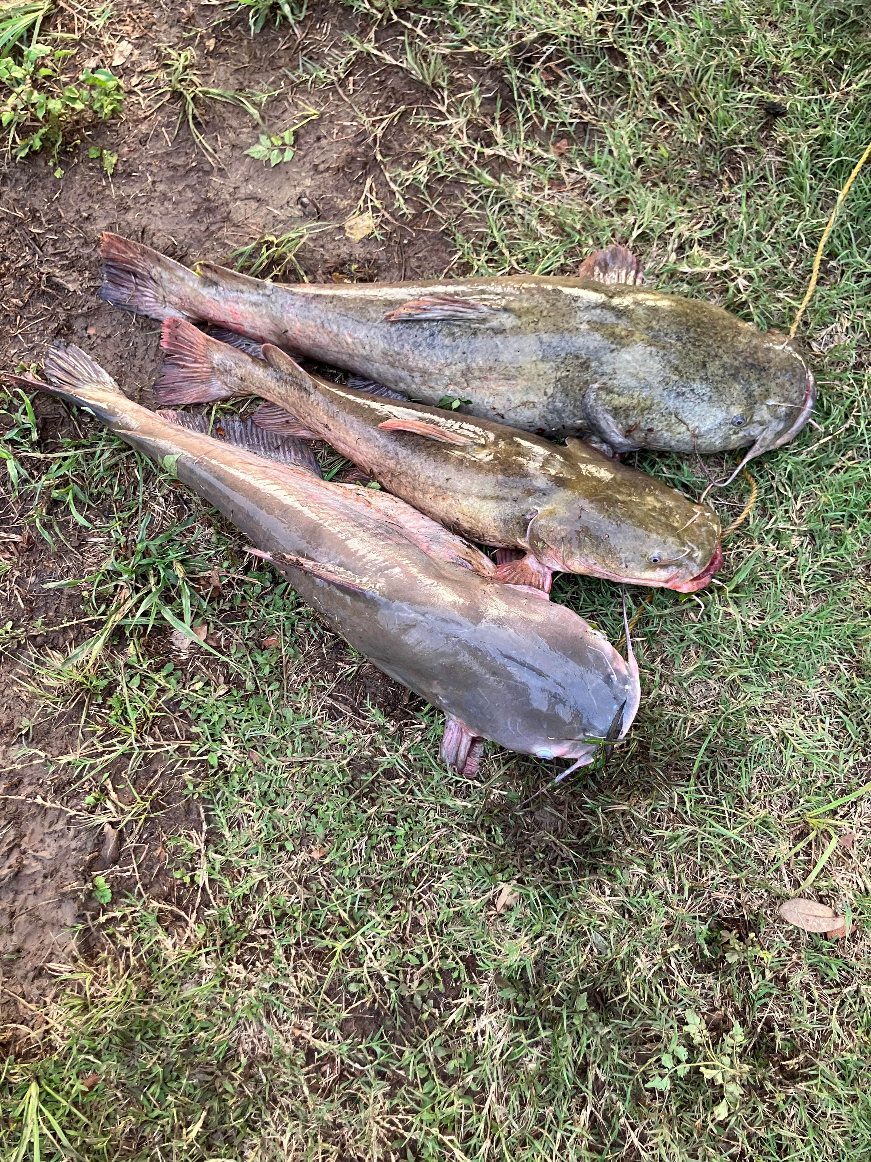 Jim Ned River Front Getaway