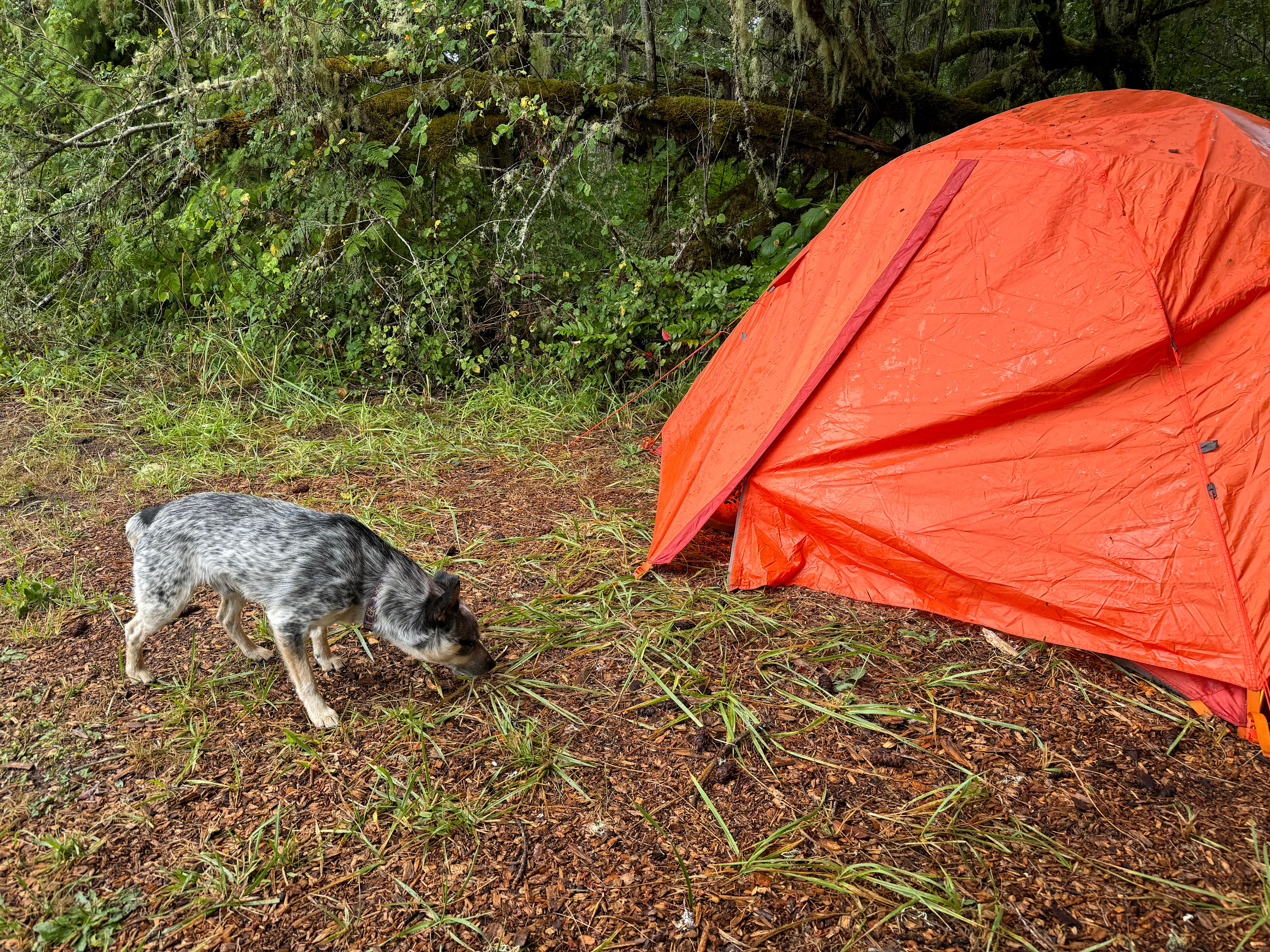 Lost Valley Farm Camp