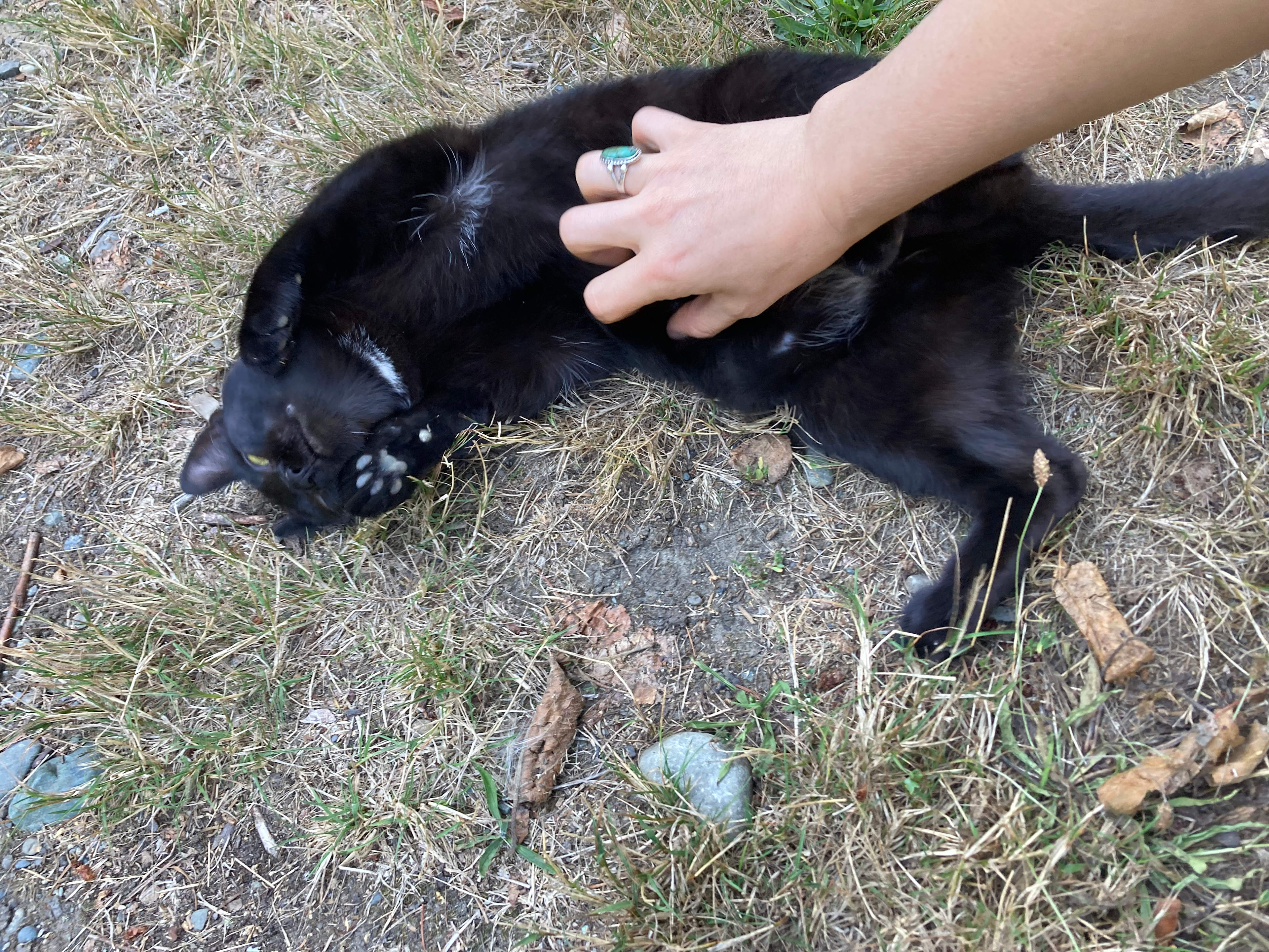 The Schoolhouse Farm