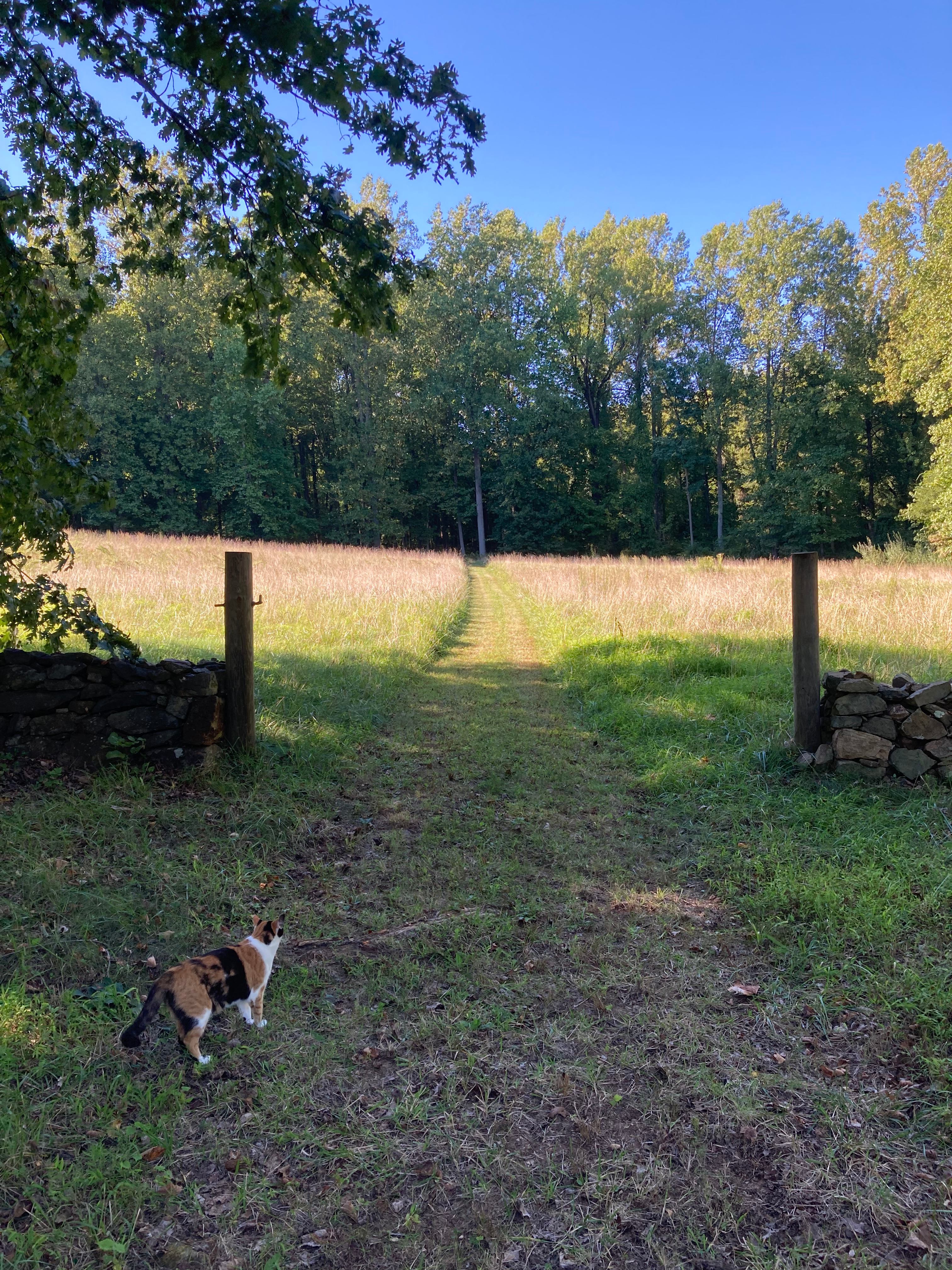 Camp Canterbury