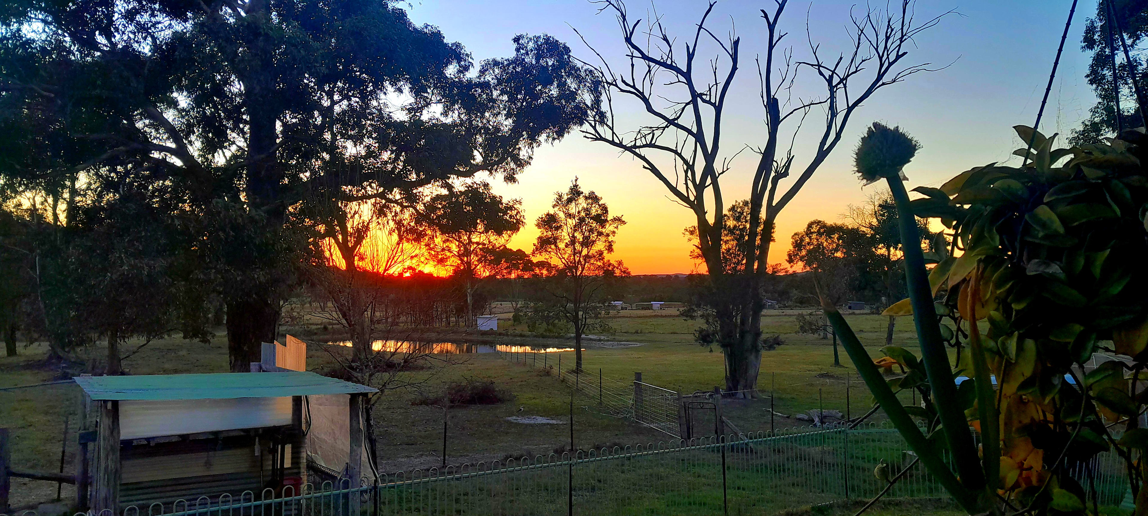 Isalie Homestead organic farm