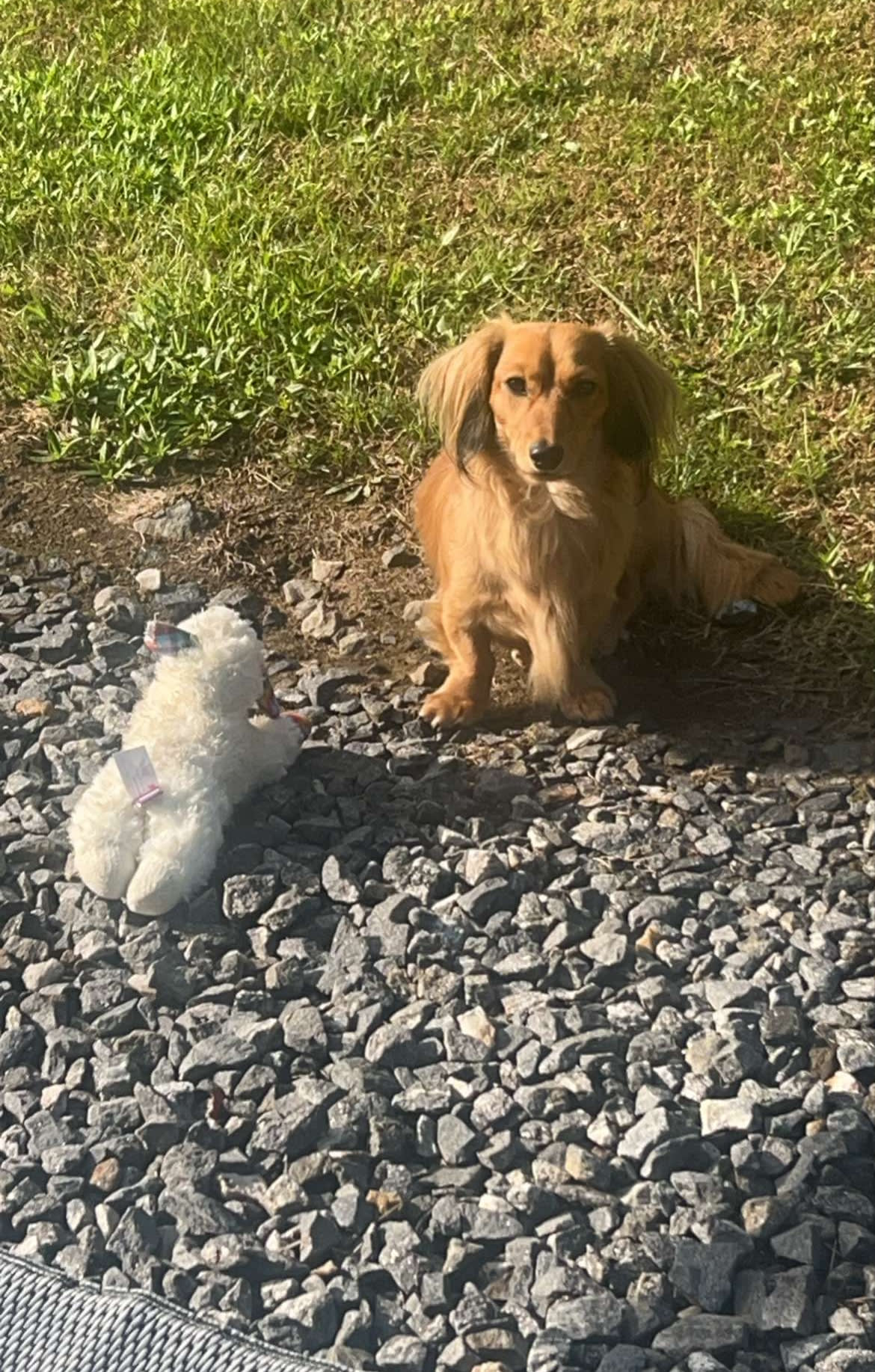 Barnett Old Tobacco Farm