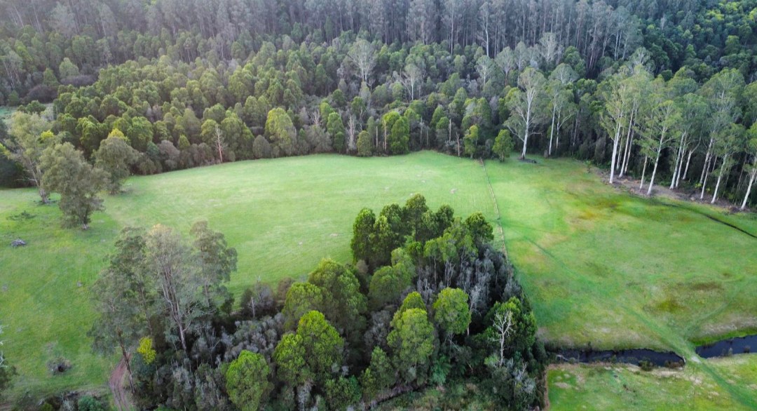 Organic Farm & Riverside Camping