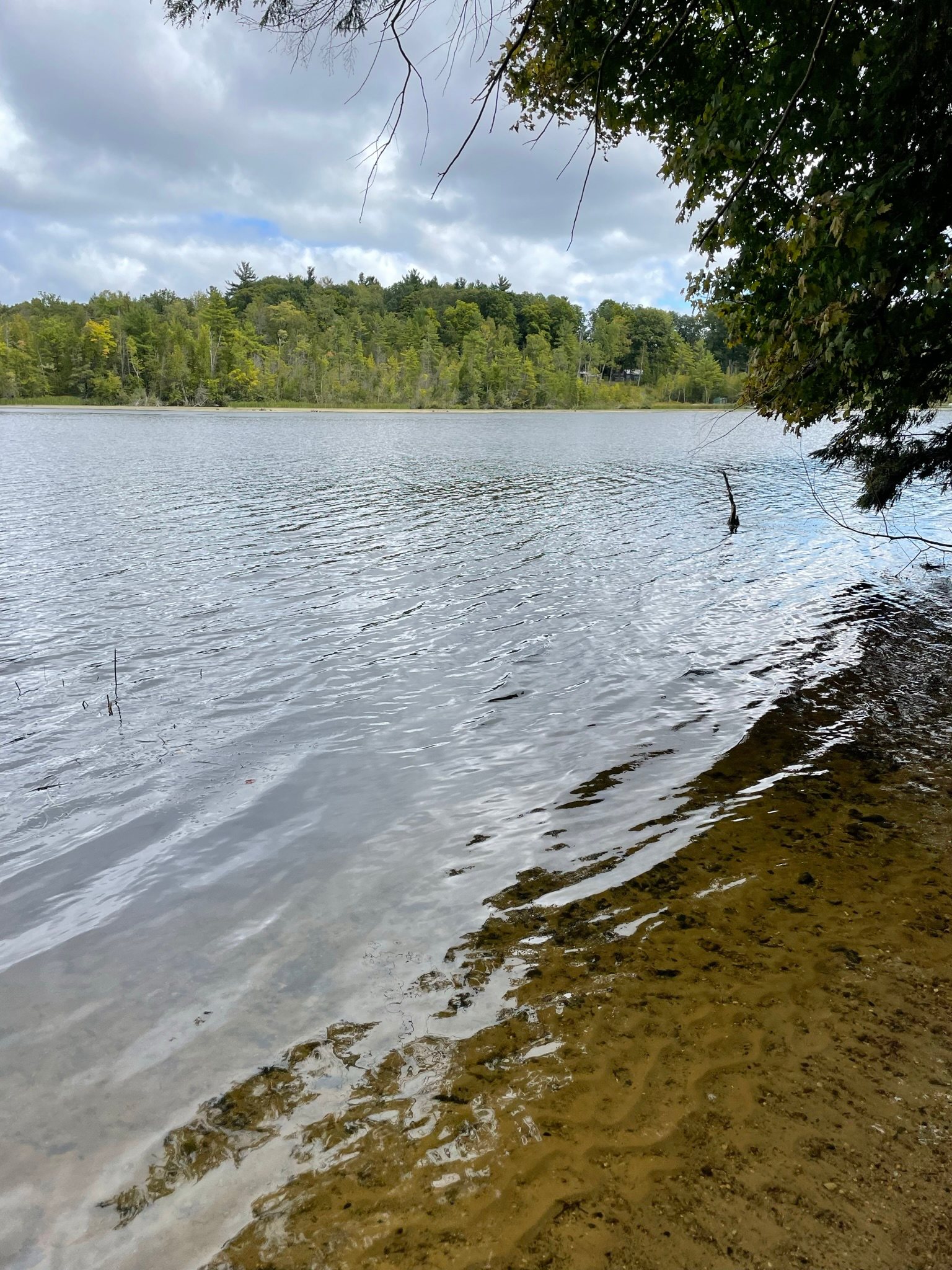 Beach area with natural springs trickling down creating a relaxing atmosphere 