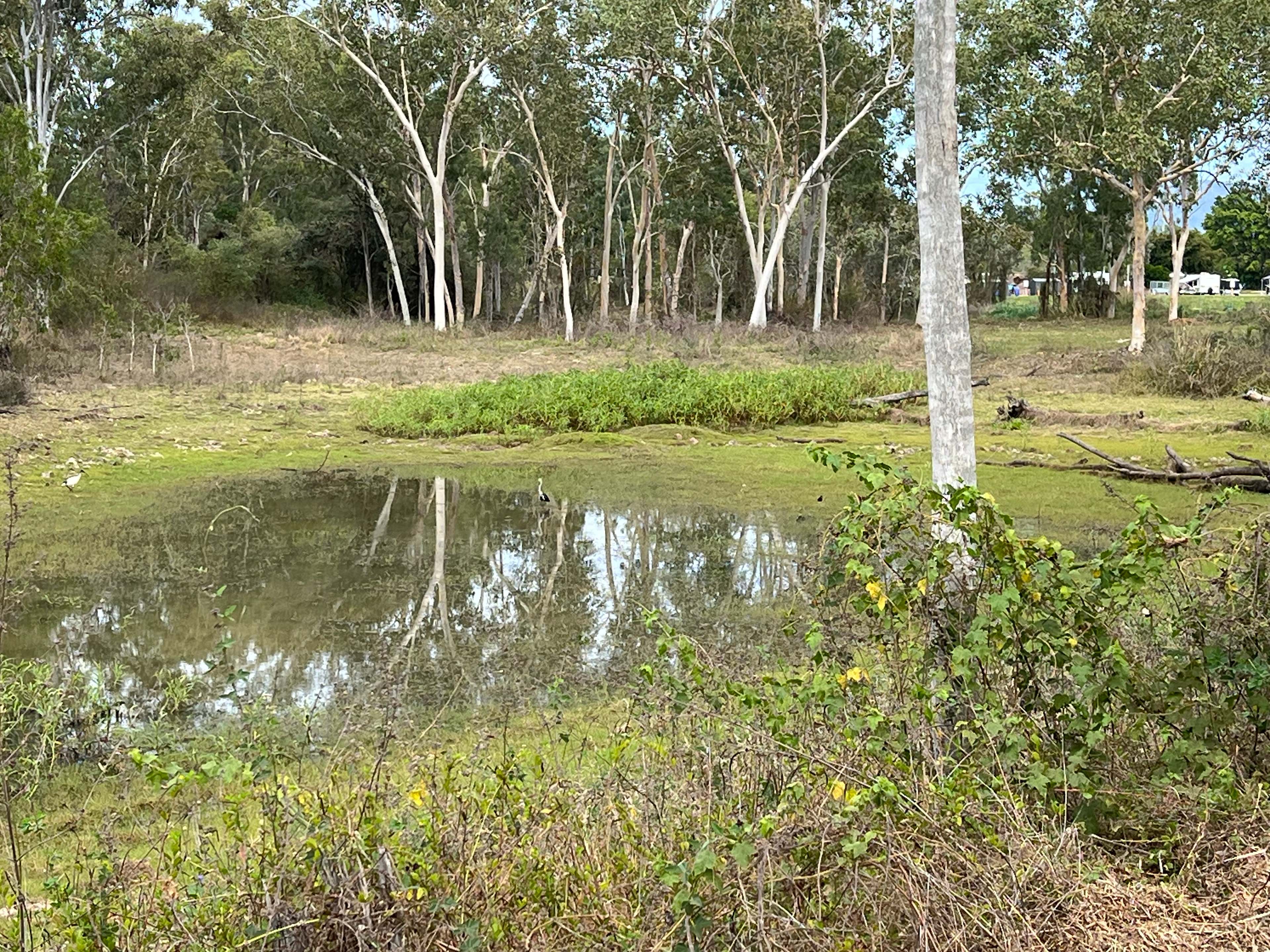 Black River Outback Ranch