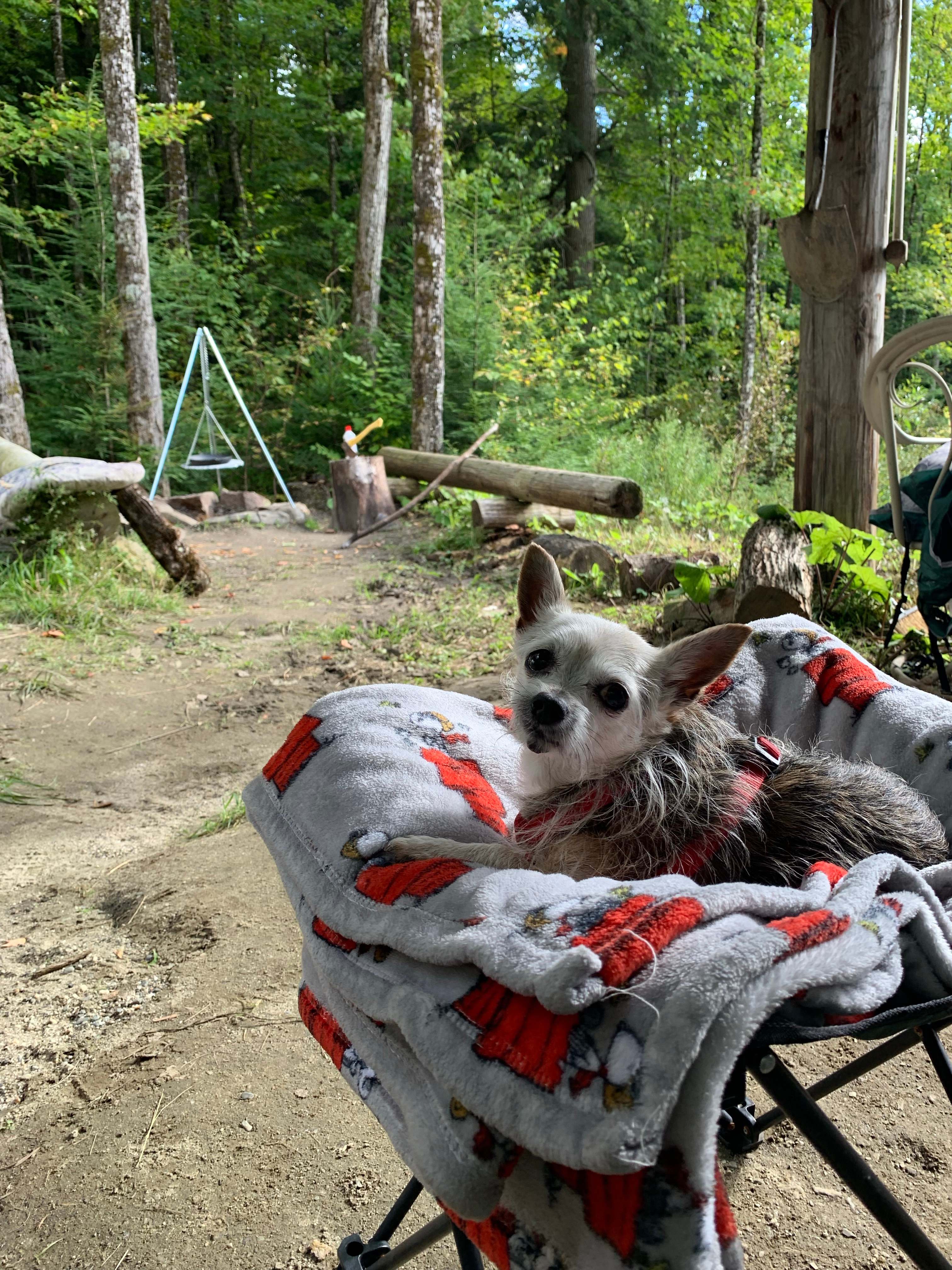 Little Sister's Campsite