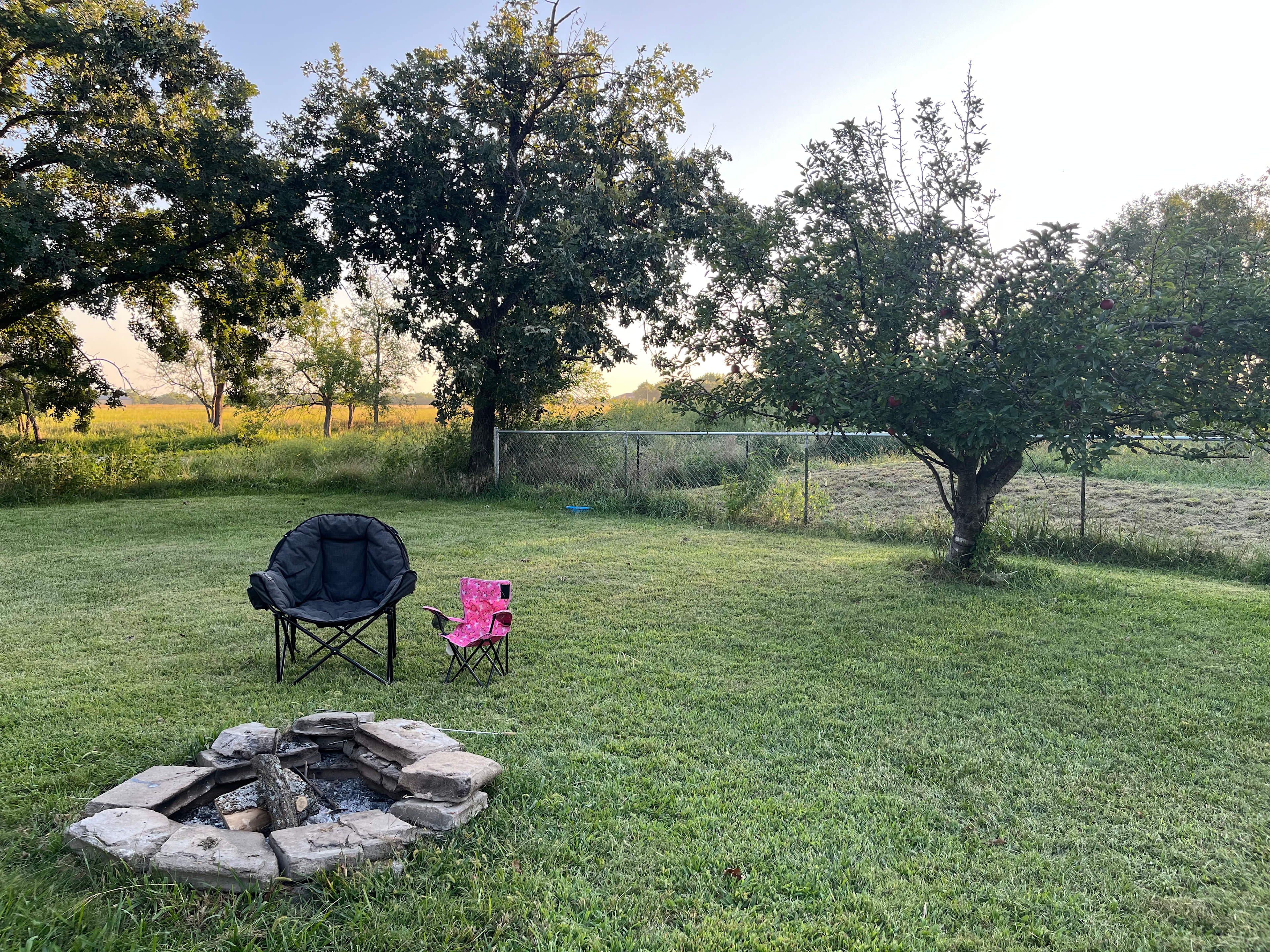 Can you spot the apple tree?