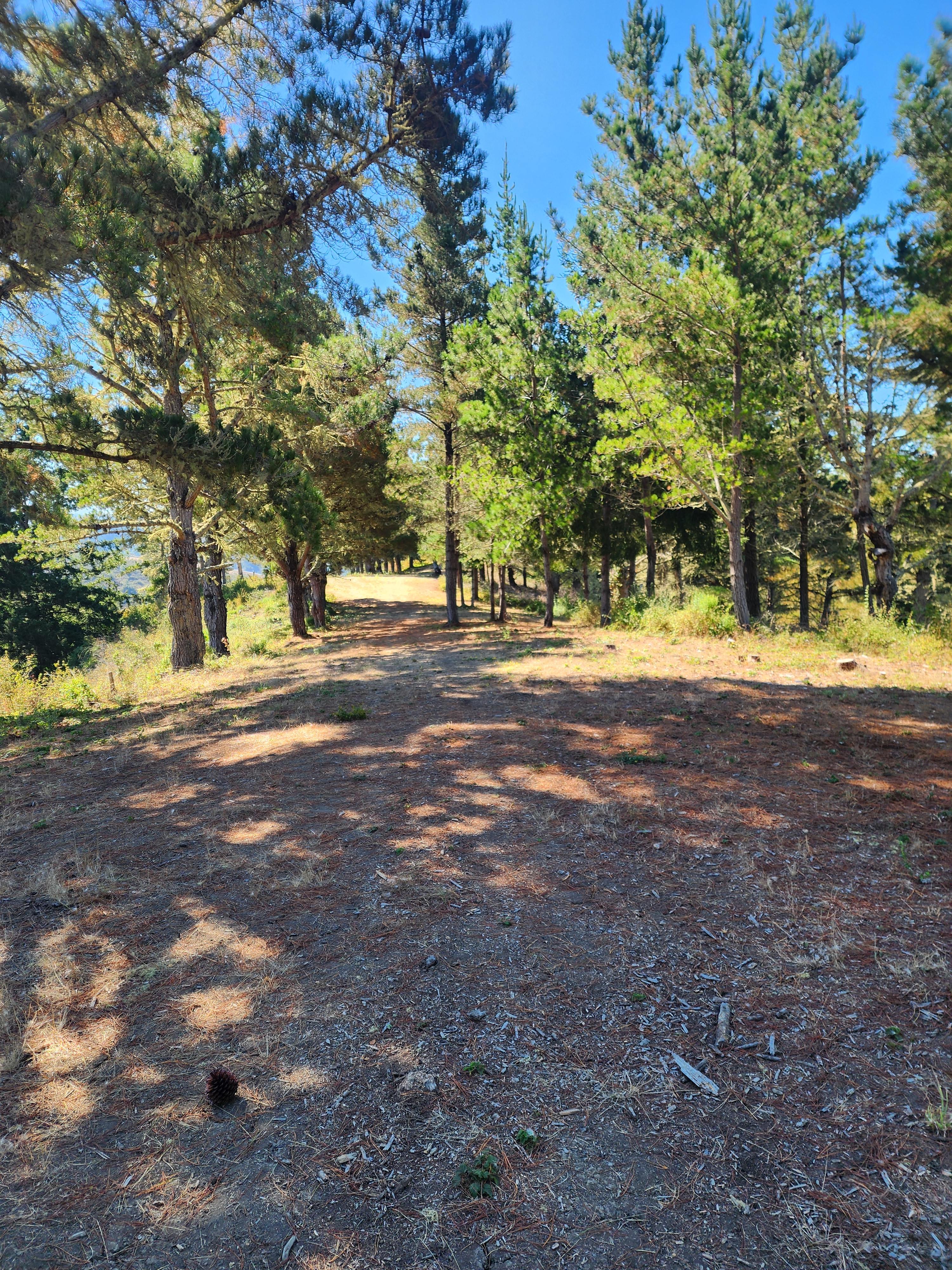 Bear Gulch Hide Out