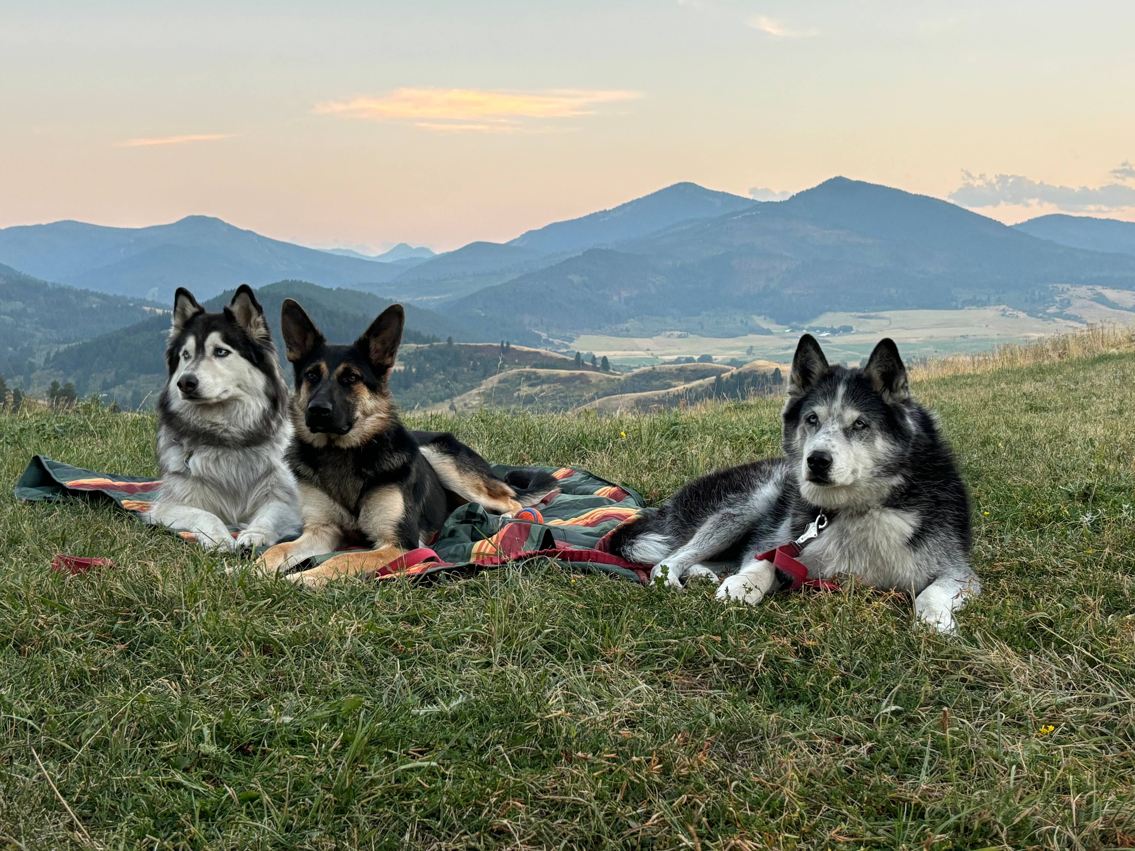 Most Amazing Camper Site in MT