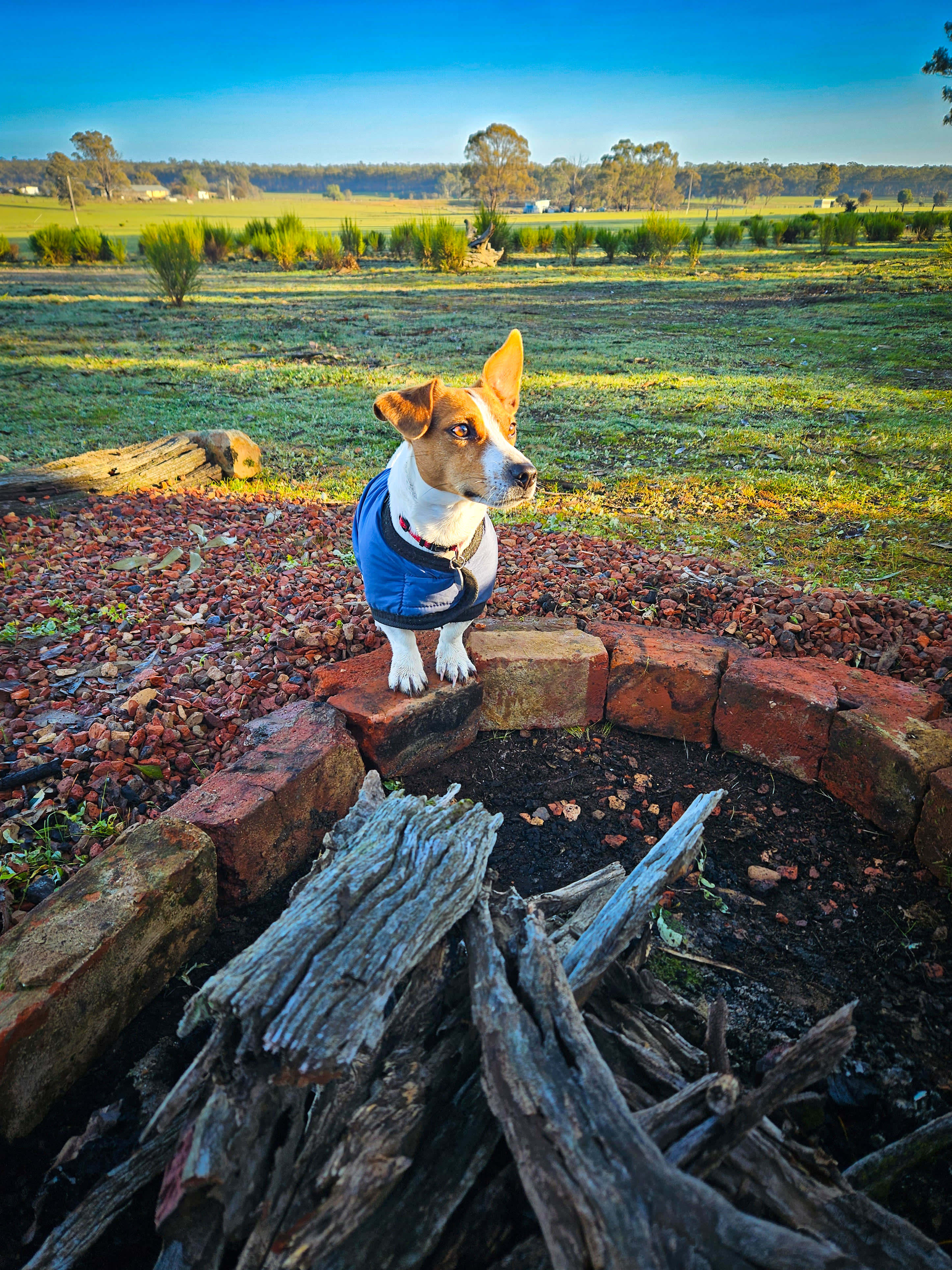 Somerville Park   (Bendigo)
