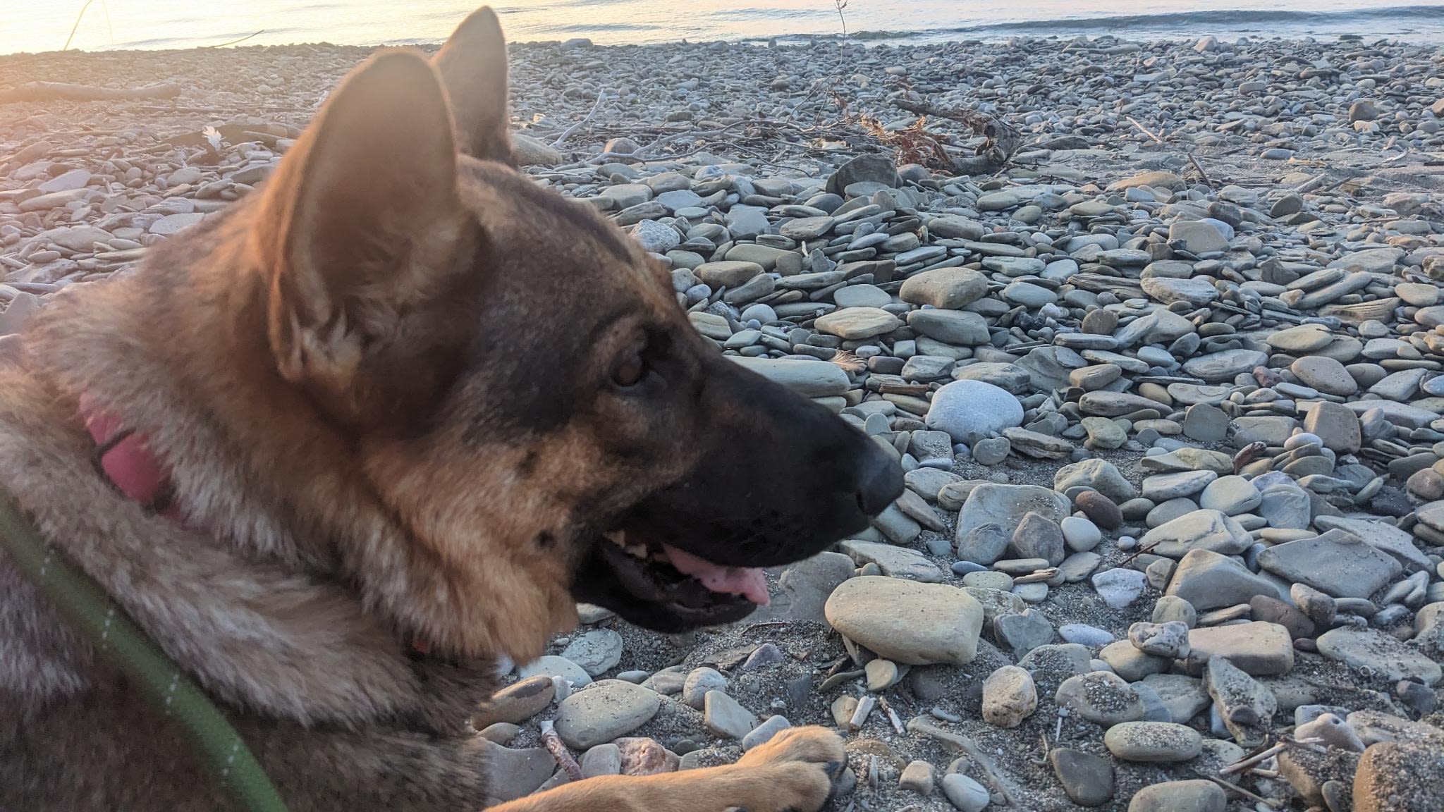 Steelhead Run Recreation Area