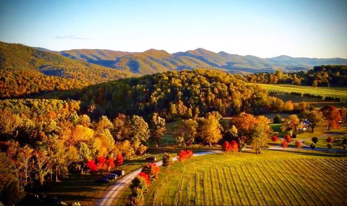 Camping at the Vineyard