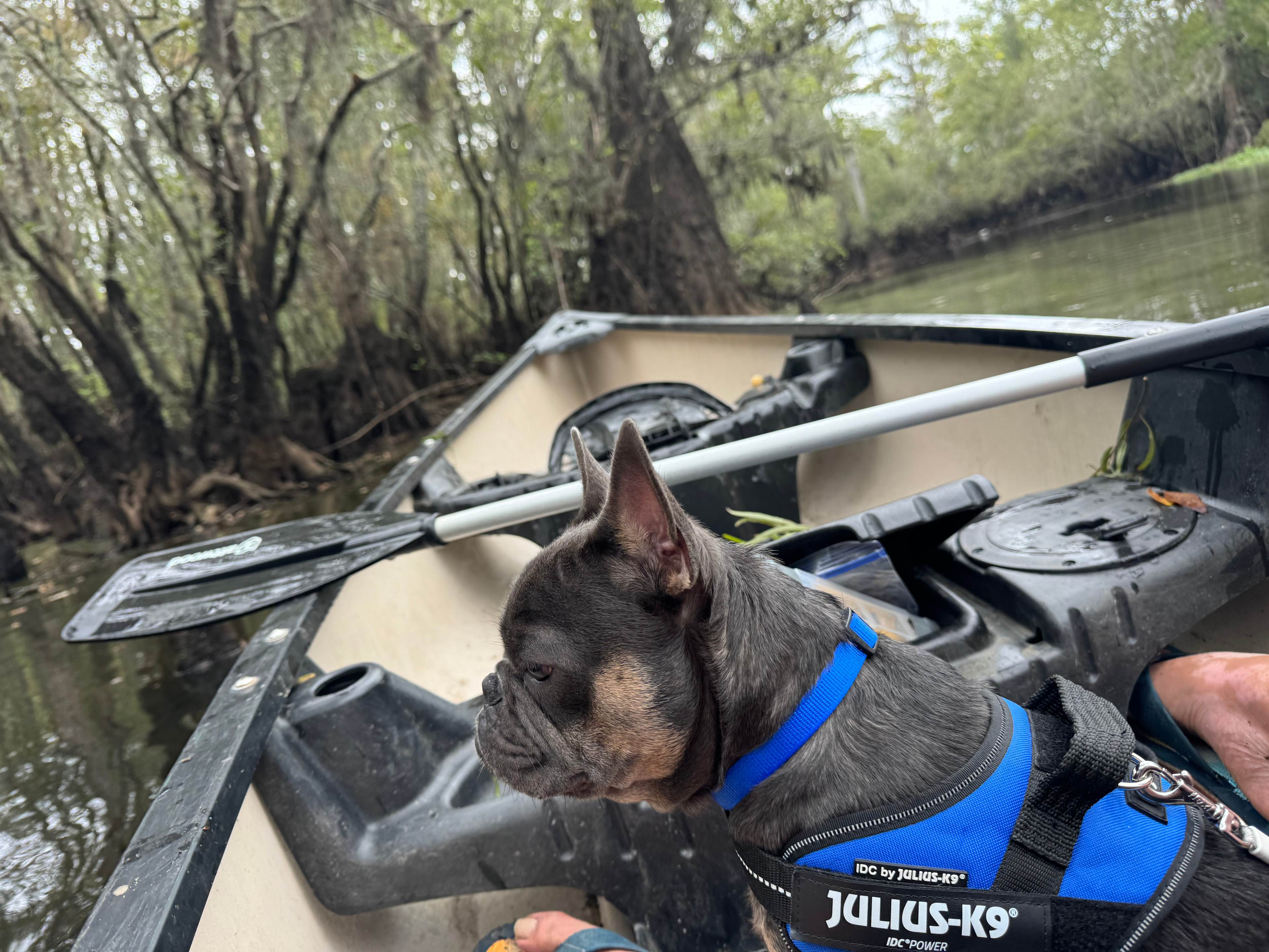 Edisto River Luxury RV Resort