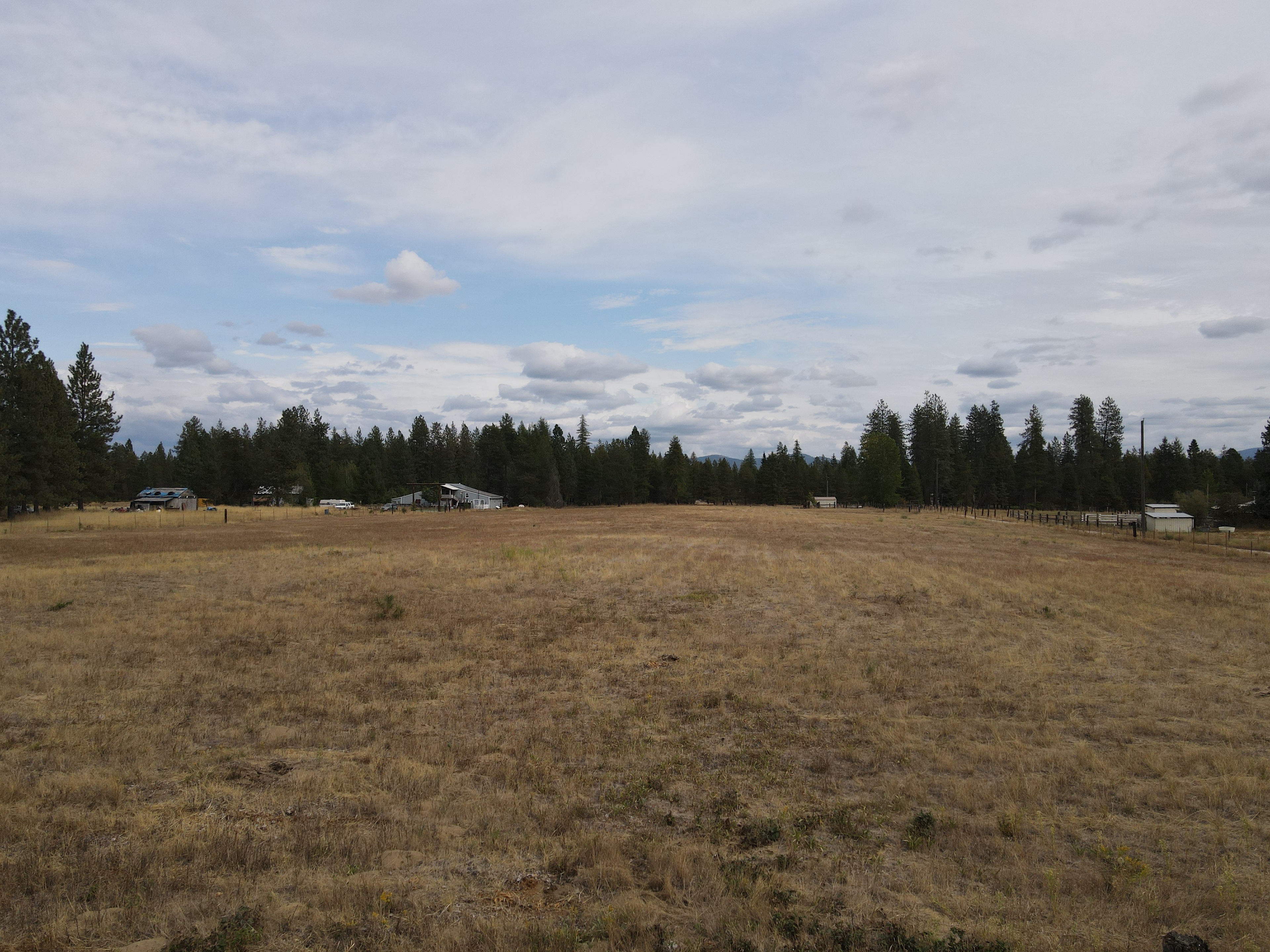 The Someday Ranch
