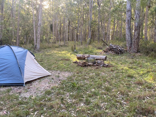 Peaceful Sunny Ridge Farm