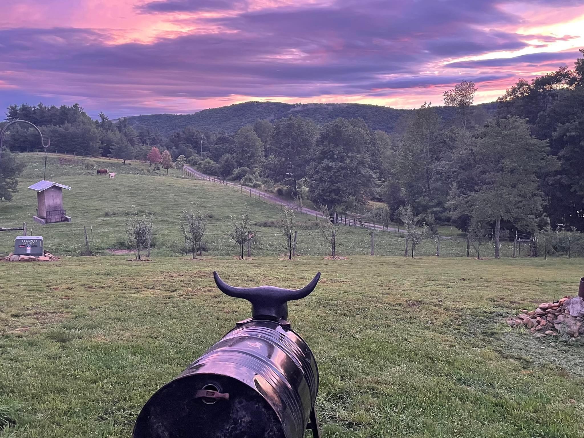 Teague Mountain Farm