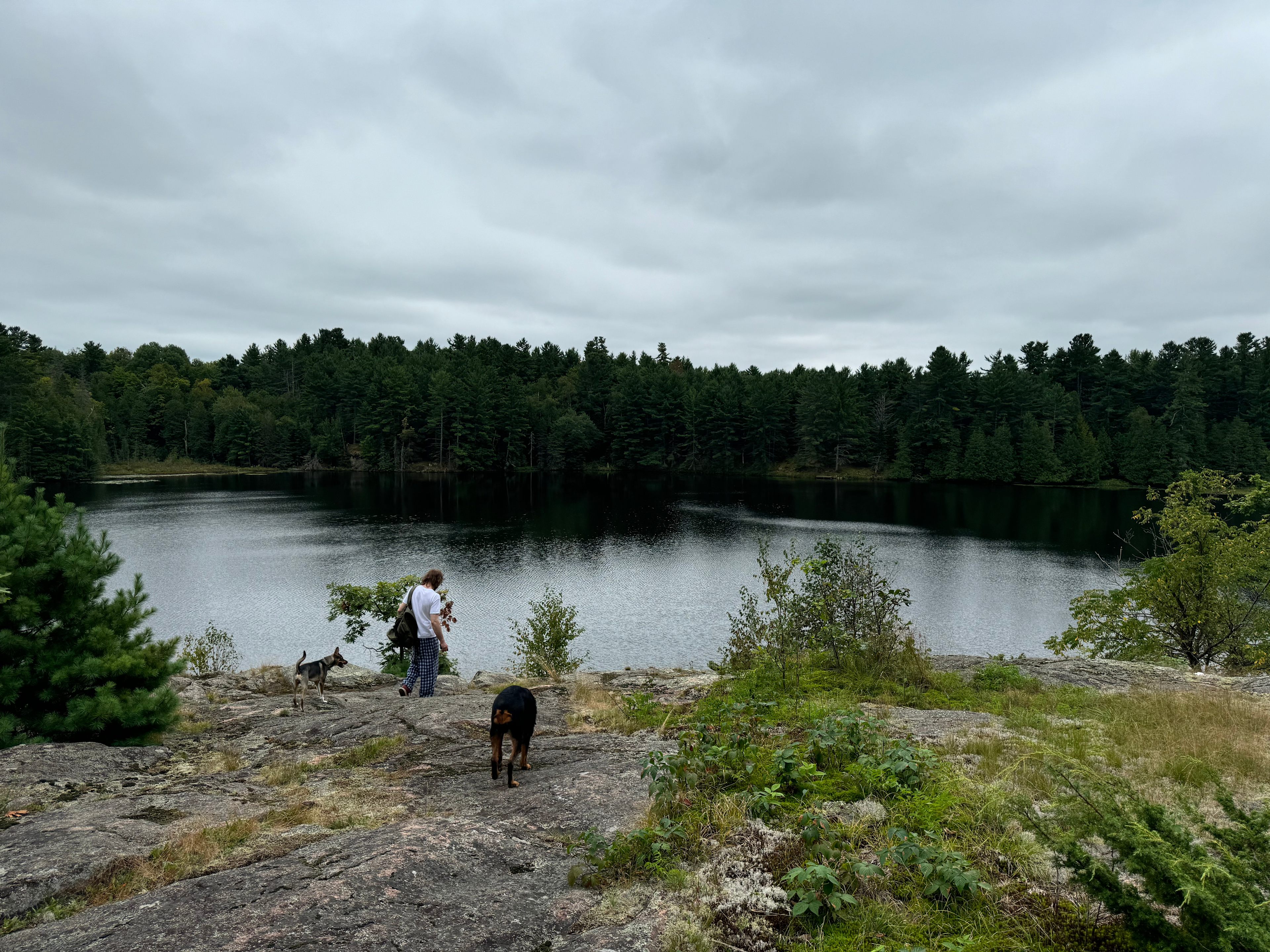 Wilderness Trails At Sumac