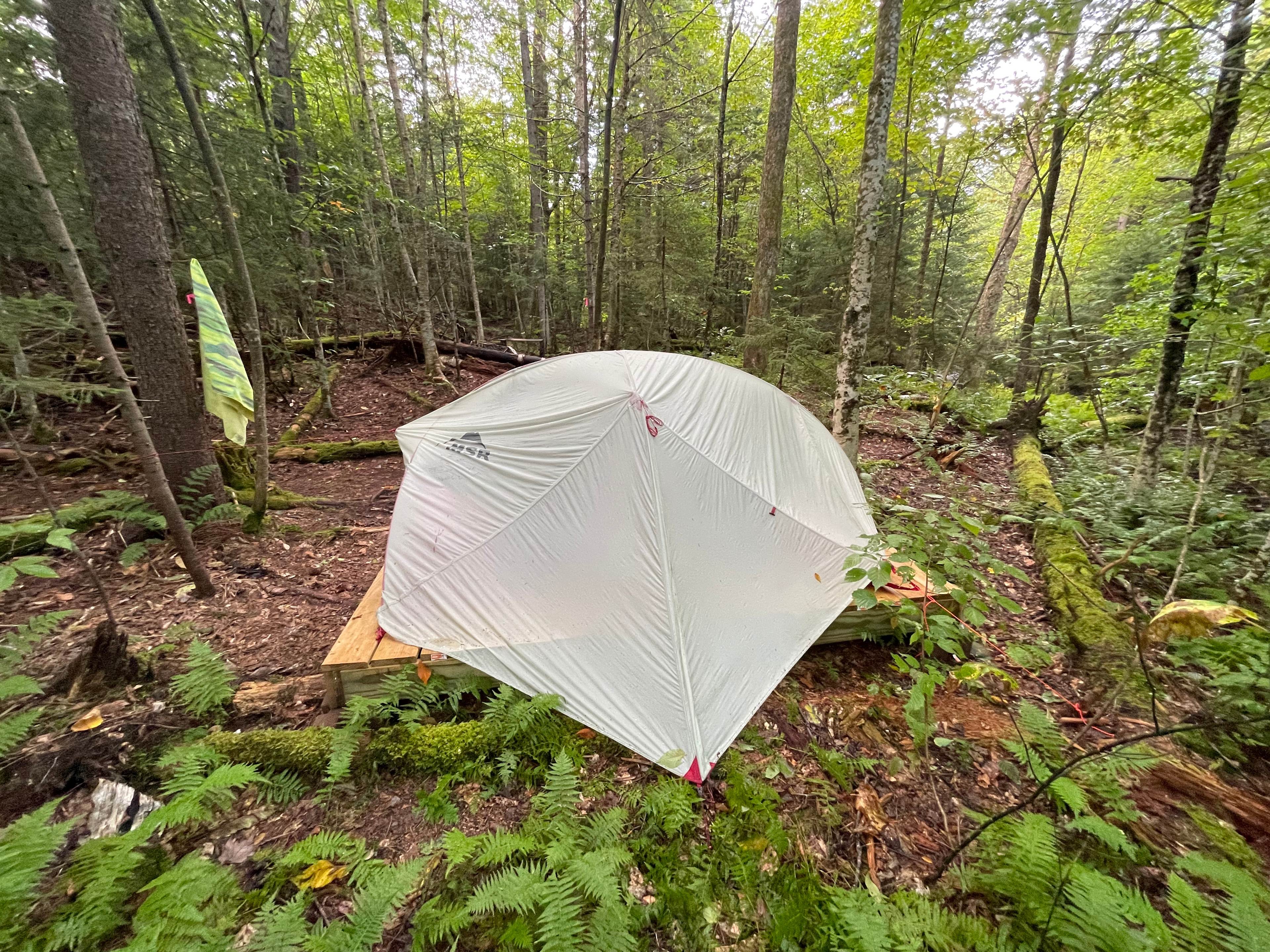 Koru Creekside Camp