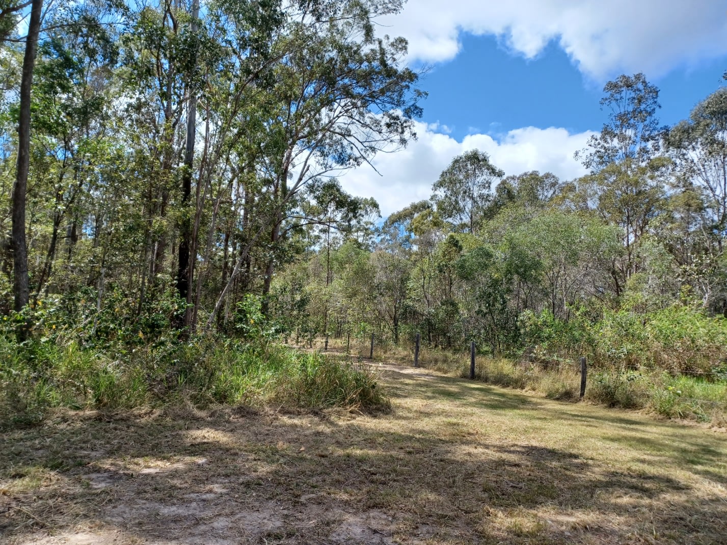 Arthur Creek Farm