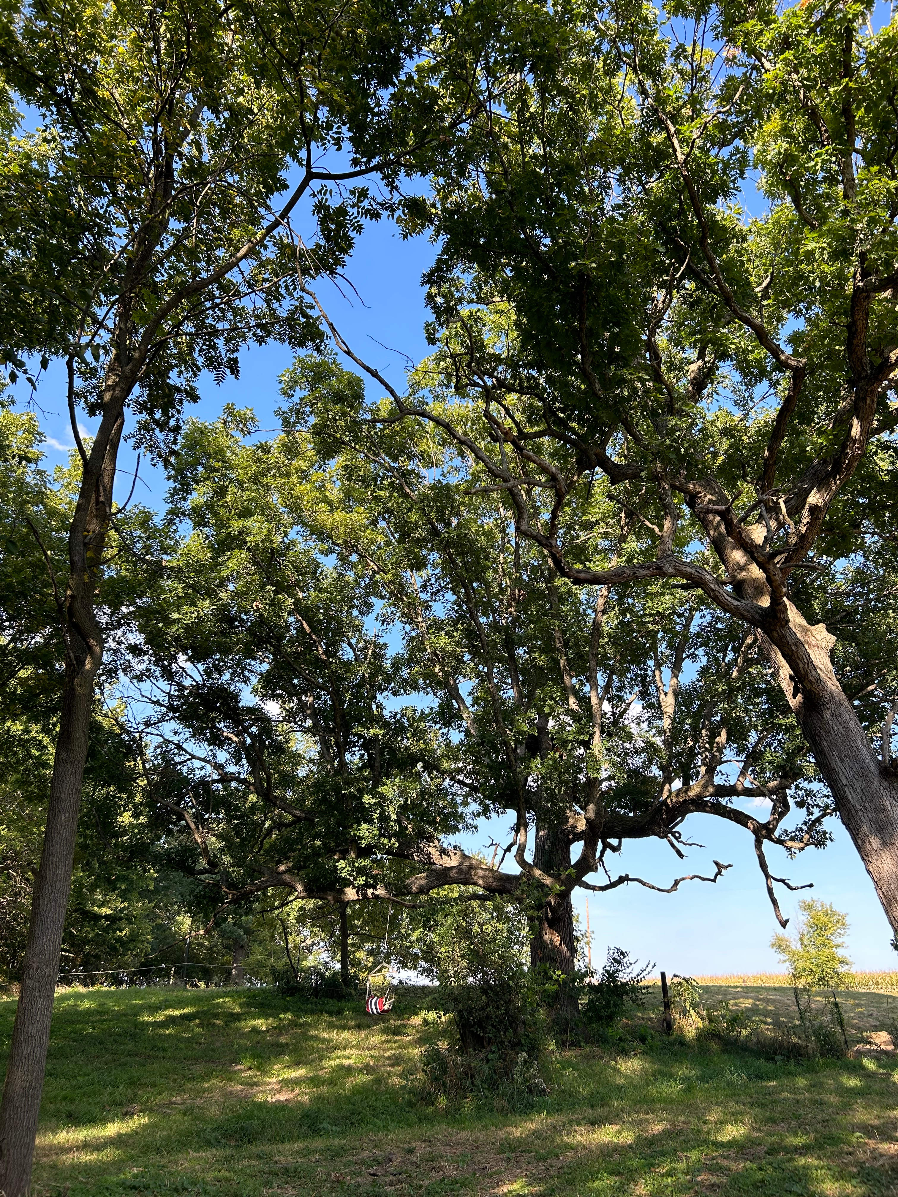 Bear Bottom Ranch