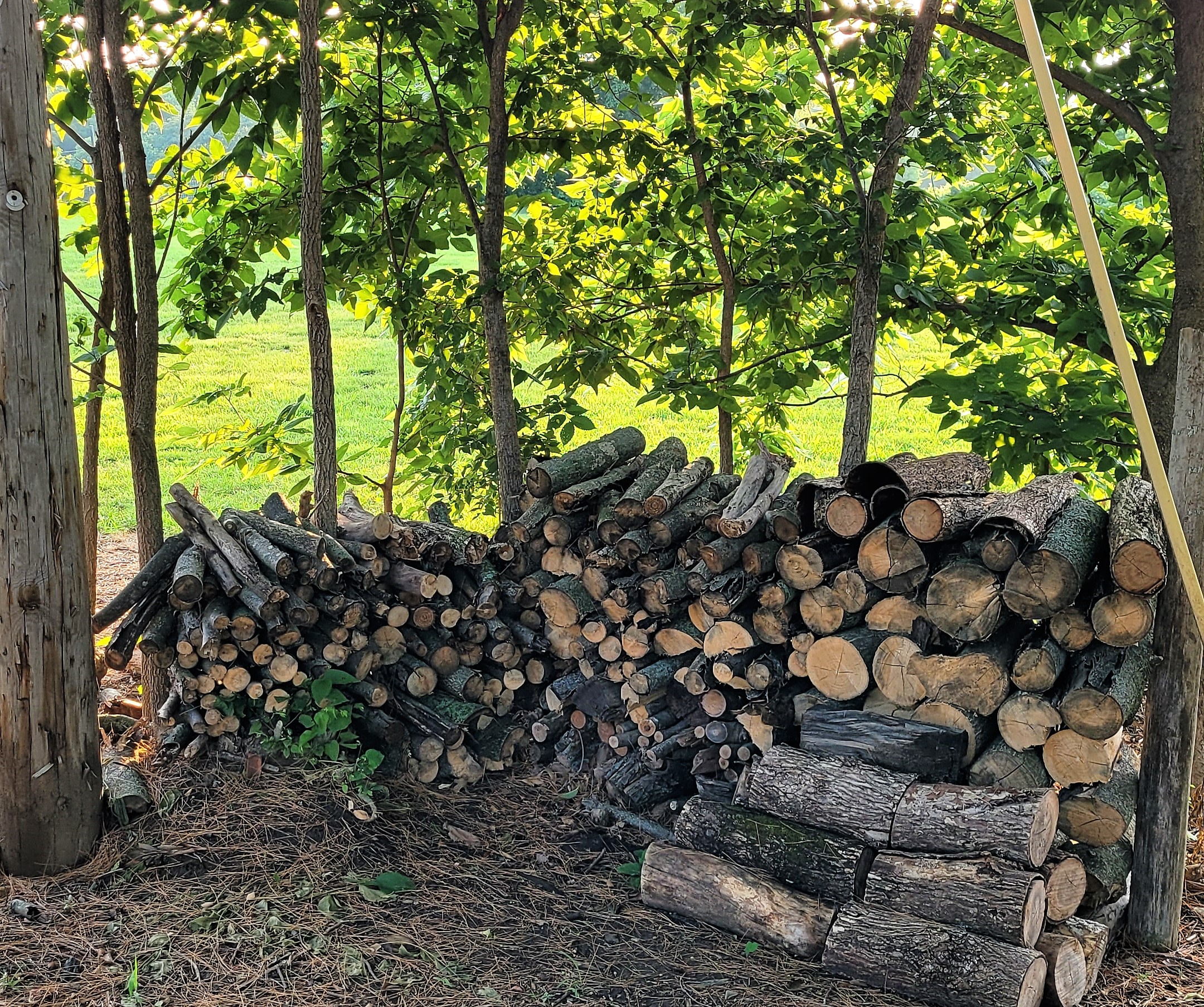 Serene Countryside Glamping