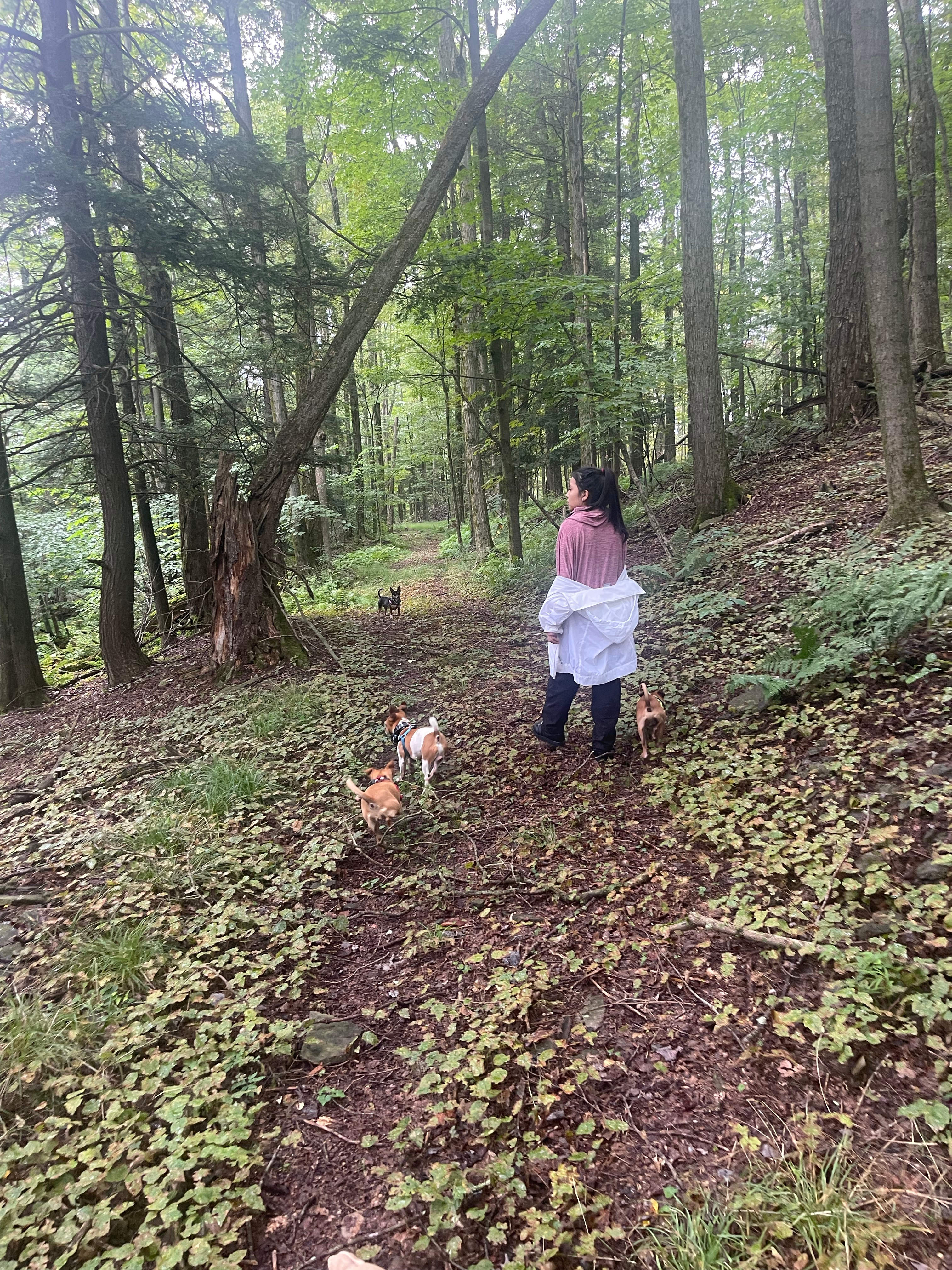 Canvas Private Glamping Yurt