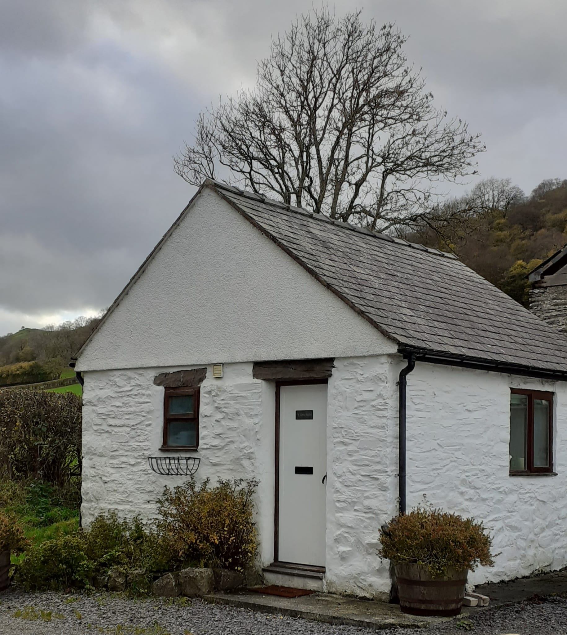Y Llew Bach Cottage