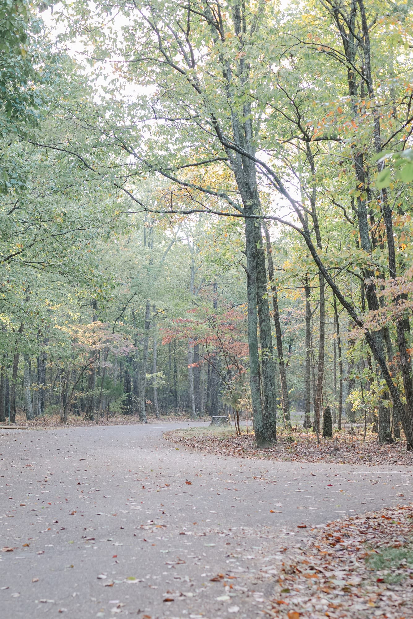 Timberline Glamping Huntsville