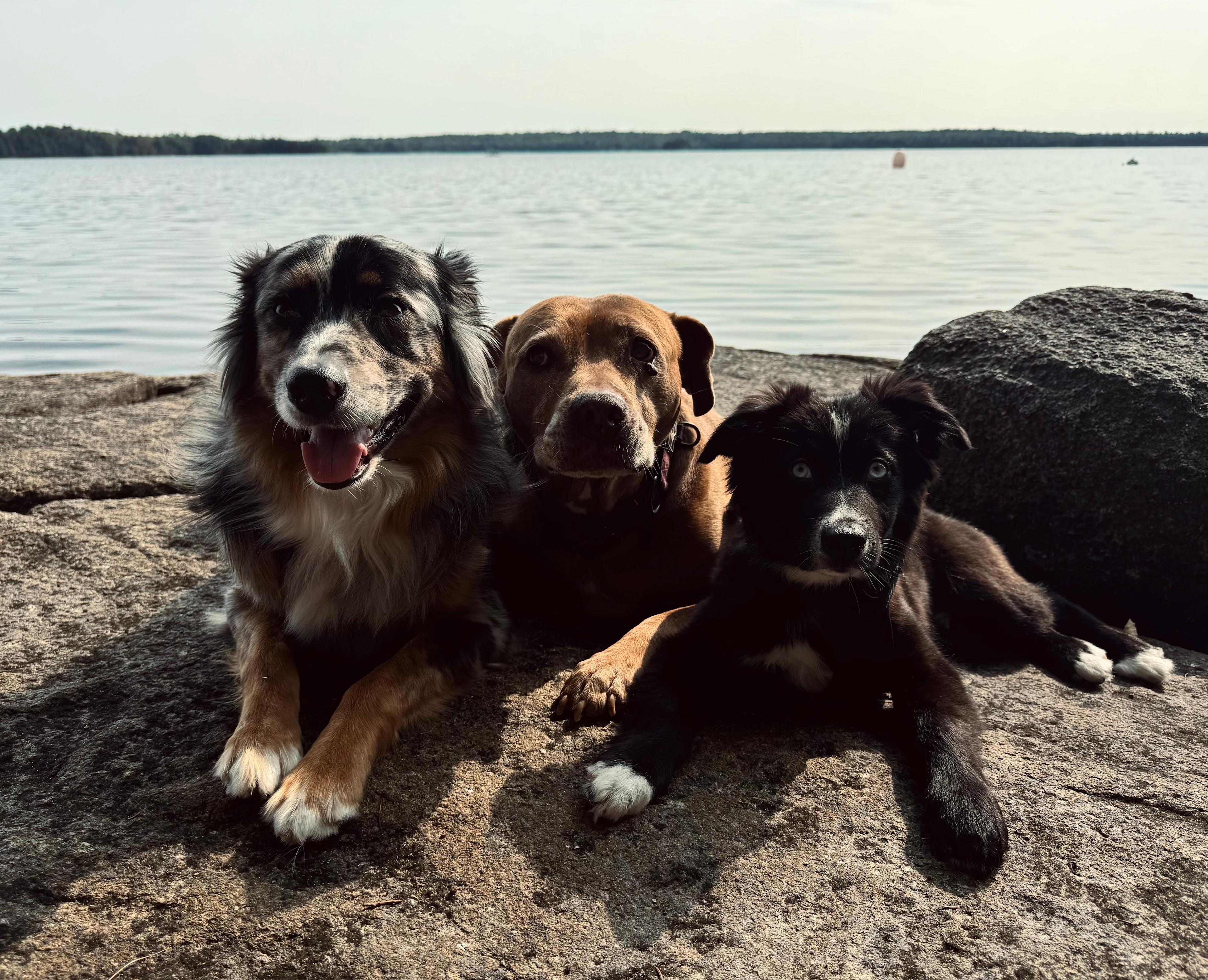 Tom's Retreat on Gardner Lake