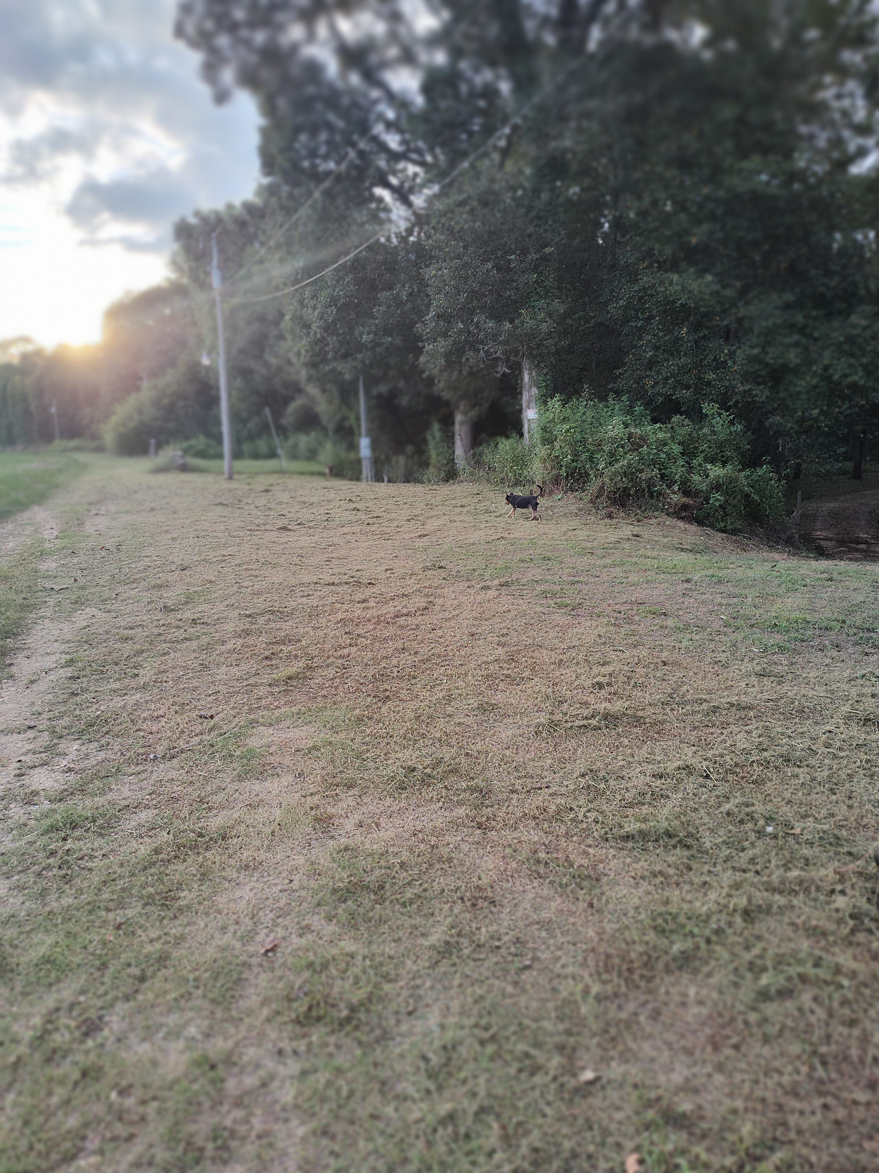Leatherneck On Big Black River