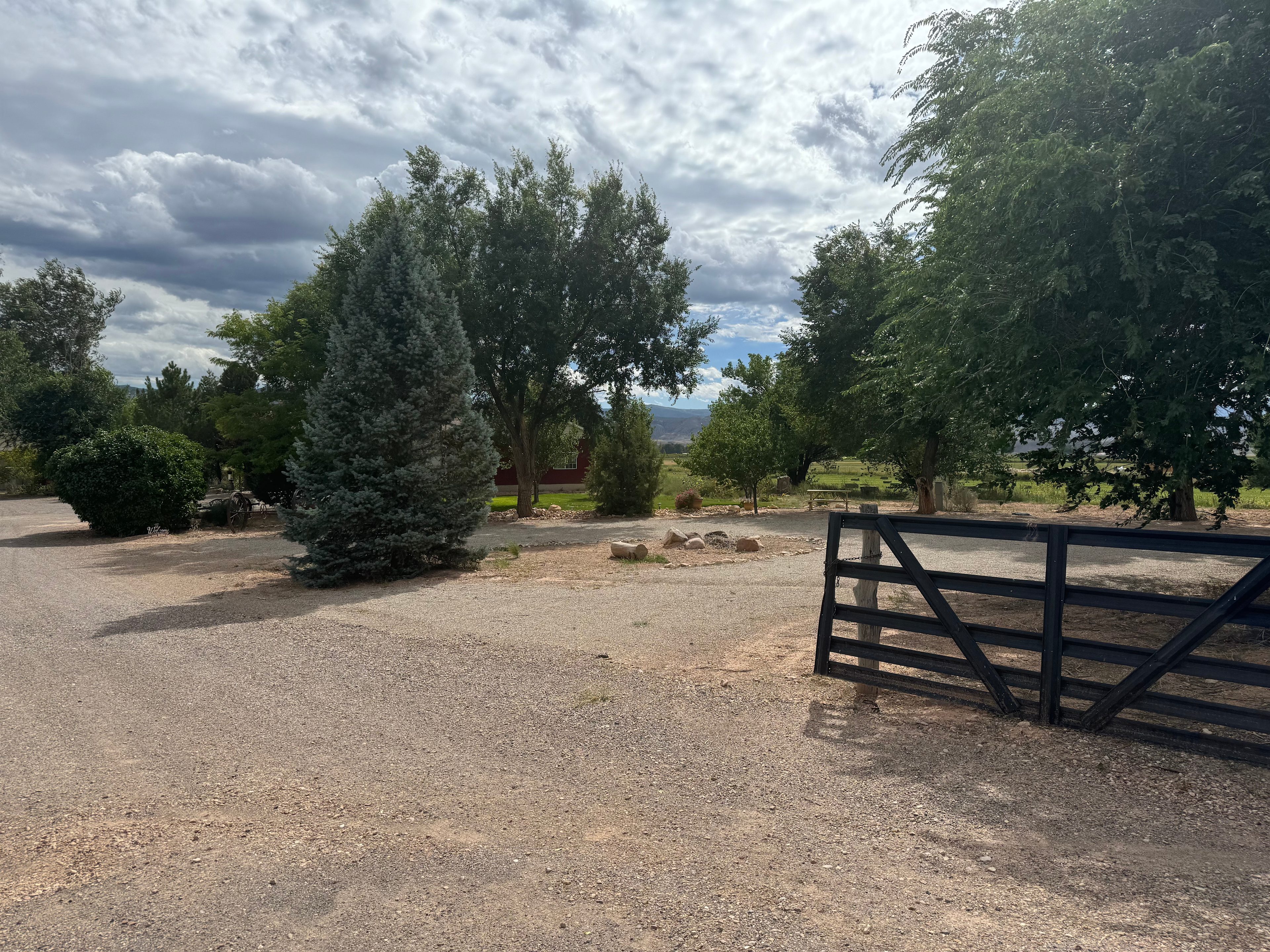 Welcome to the Farm