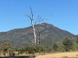 Pointro Bunkhouse and Campground