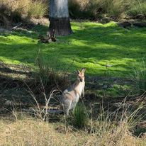 Pointro Bunkhouse and Campground