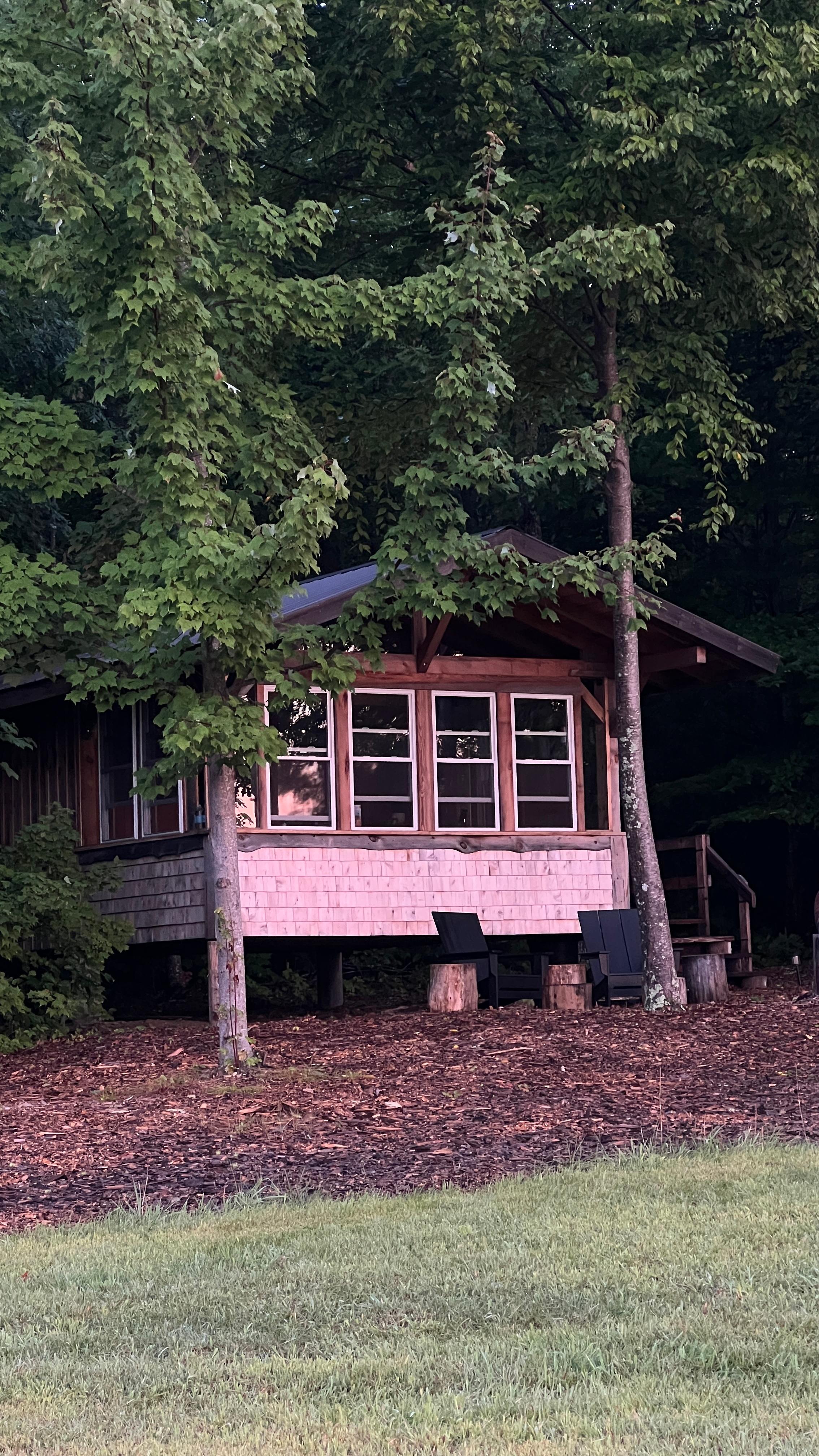 Welcome to the Owl’s Nest